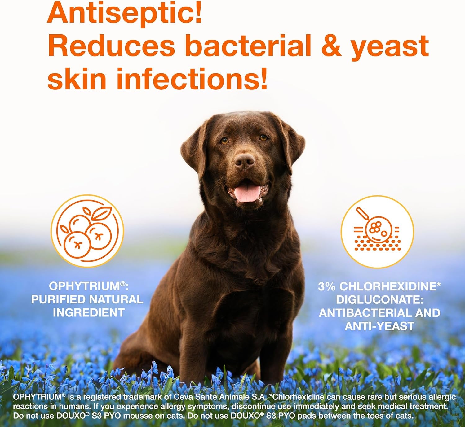 S3 Pyo Shampoo, Contains 3% Chlorhexidine & 0.5% Ophytrium, Antiseptic & Hydrating, for Bacterial or Yeast Skin Infections, for Dogs and Cats, 16.9 Fl. Oz. (500Ml)