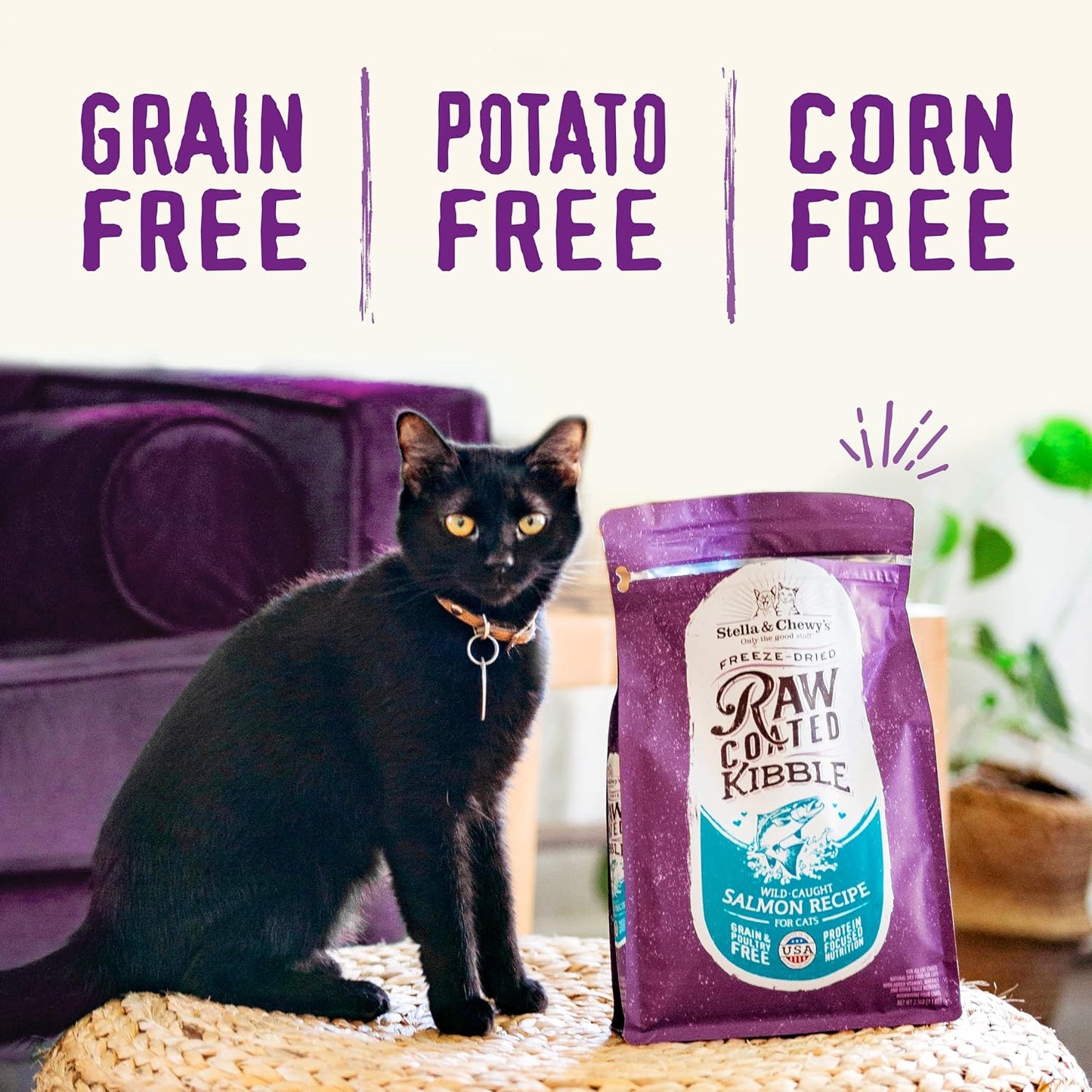 Raw Coated Cat Food - High Protein, Grain-Free Kibble with Cage-Free Chicken - Premium Digestive Support with Probiotics - Natural Small Kibble - Perfect for Picky Eaters - 10 Lb Bag