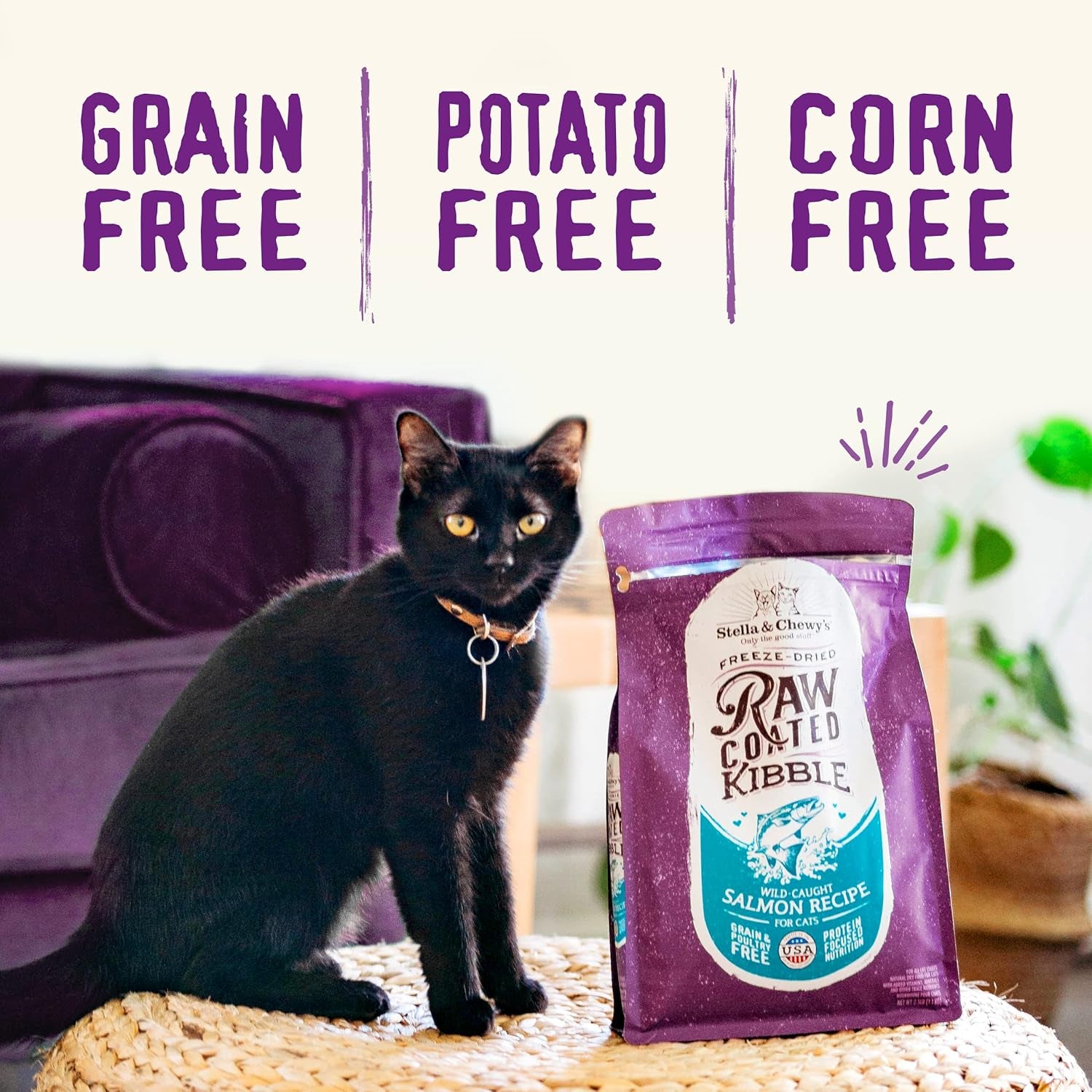 Raw Coated Cat Food - High Protein, Grain-Free Kibble with Cage-Free Chicken - Premium Digestive Support with Probiotics - Natural Small Kibble - Perfect for Picky Eaters - 10 Lb Bag