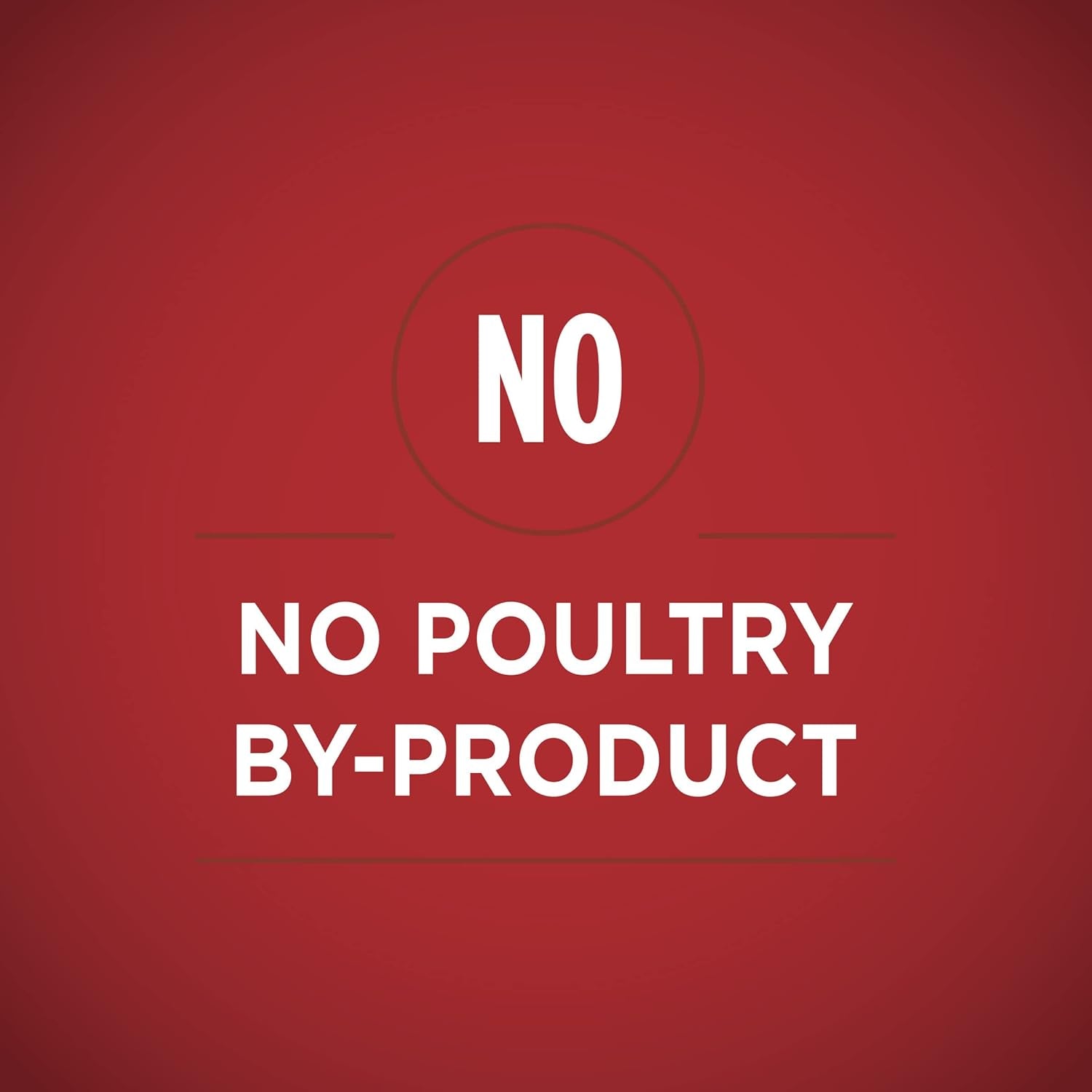 Natural Wet Dog Food Gravy, Tender Cuts in Gravy Beef and Barley Entrée - 13 Ounce (Pack of 12)