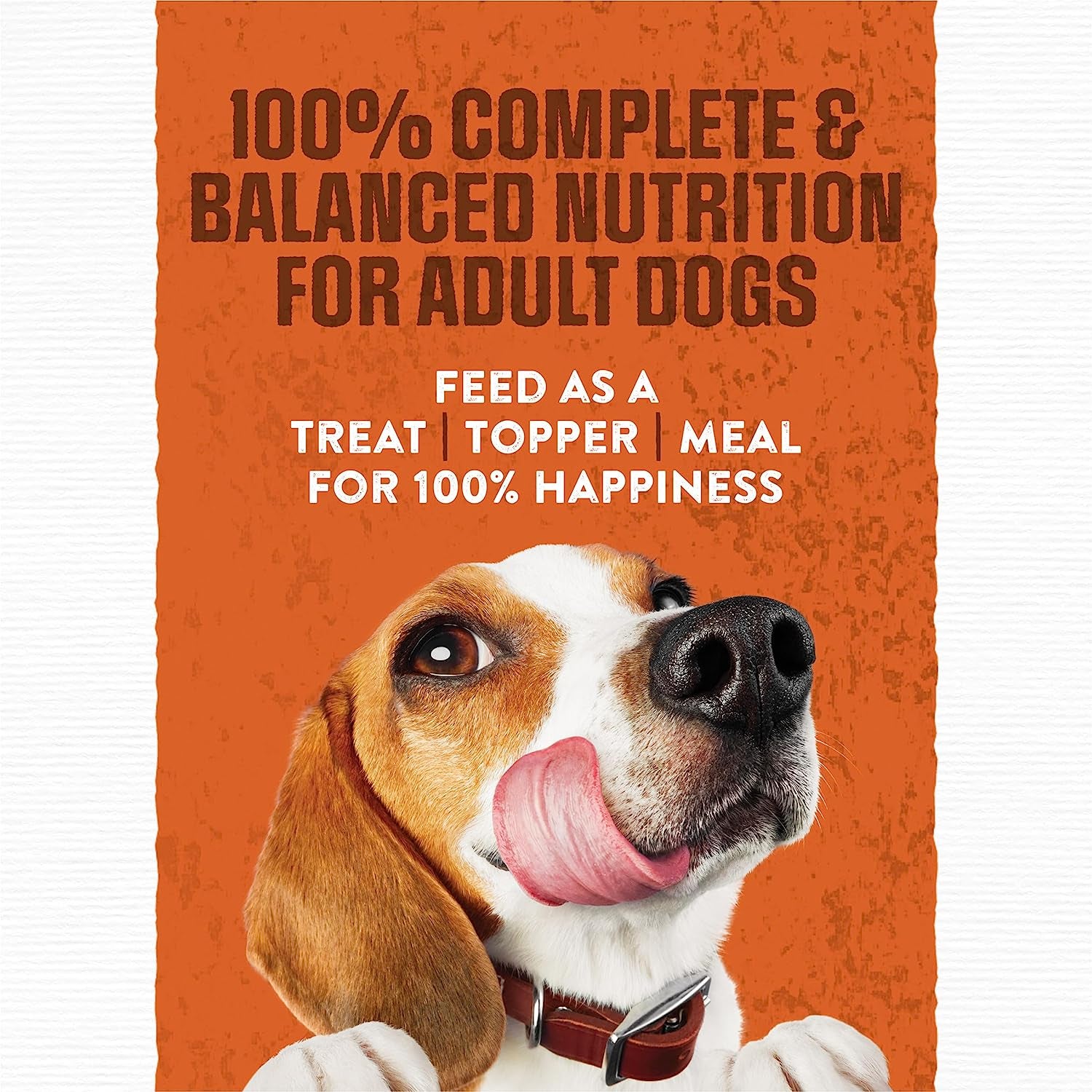 Purina Moist and Meaty Burger with Cheddar Cheese Flavor Dry Soft Dog Food Pouches - (Pack of 4) 12 Ct. Pouches