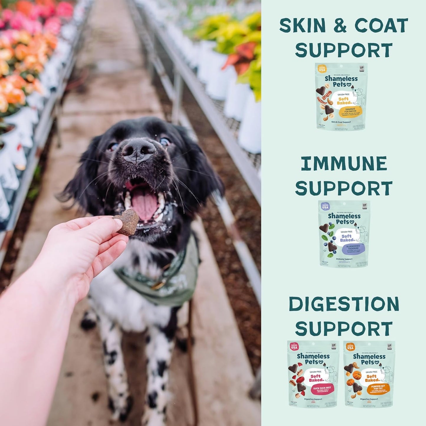 Soft-Baked Dog Treats, Variety 5-Pack - Natural & Healthy Dog Chews for Small, Medium & Large Dogs - Biscuits Baked & Made in USA, Free from Grain, Corn & Soy