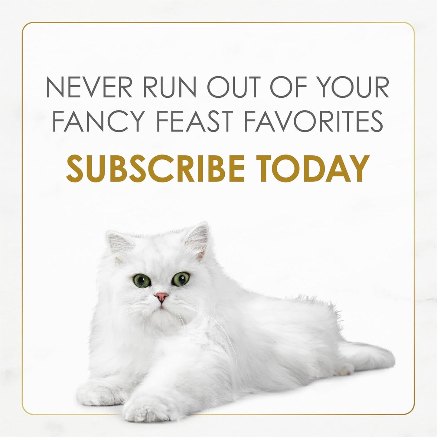 Purina  Gravy Lovers Beef Feast Grilled Gourmet Cat Food in Wet Cat Food Gravy - (Pack of 24) 3 Oz. Cans