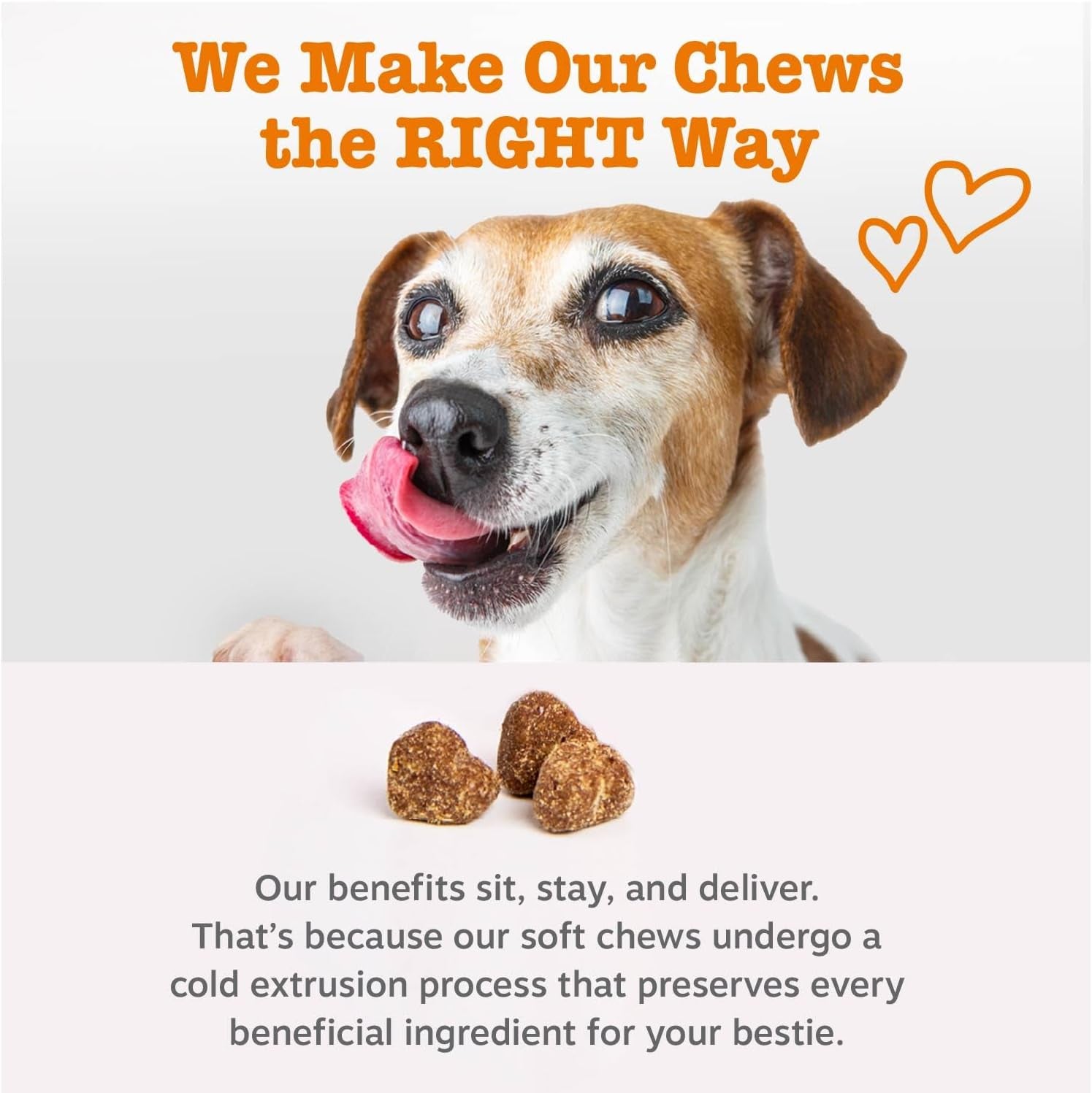 Vet Strength Dog Allergy Relief Chews, Dog Probiotics for Itchy Skin and Ears, Smoked Cheese, 90Ct