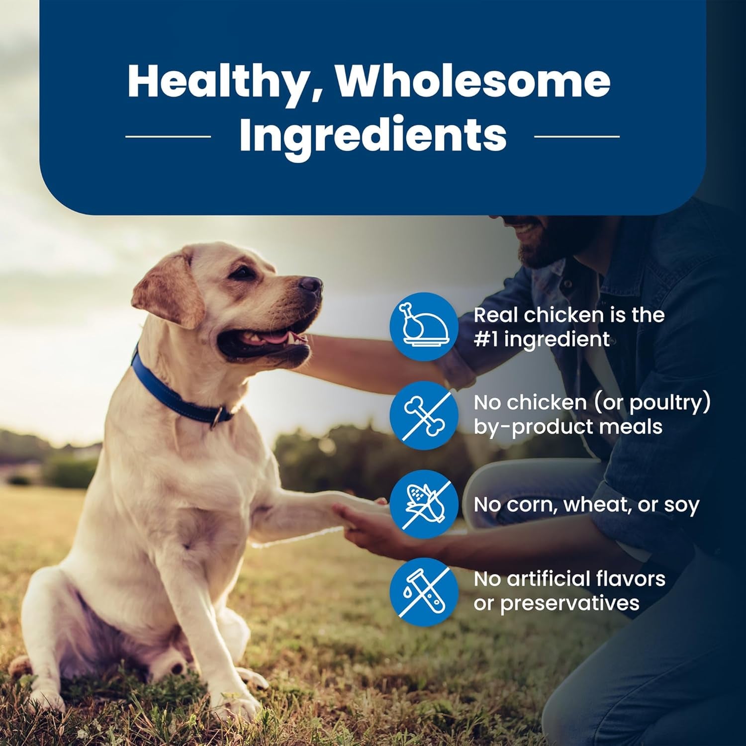 Life Protection Formula Natural Senior Dry Dog Food, Chicken and Brown Rice 5-Lb Trial Size Bag