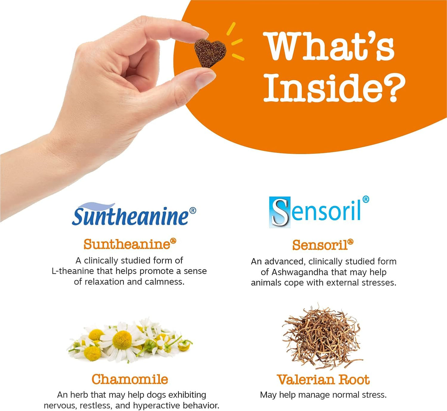 Calming Chews for Dogs - for Everyday Stress, Relaxation, Composure, and Separation Turkey 90 Count