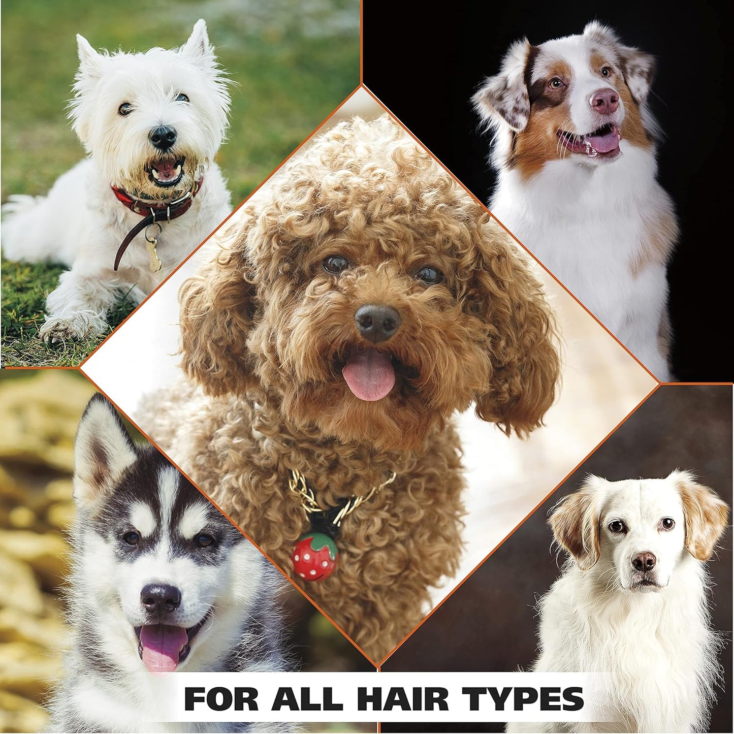 USA Dry Skin & Itch Relief Pet Shampoo for Dogs – Oatmeal Formula with Coconut Lime Verbena Scent - 64 Oz - Model 821004-050