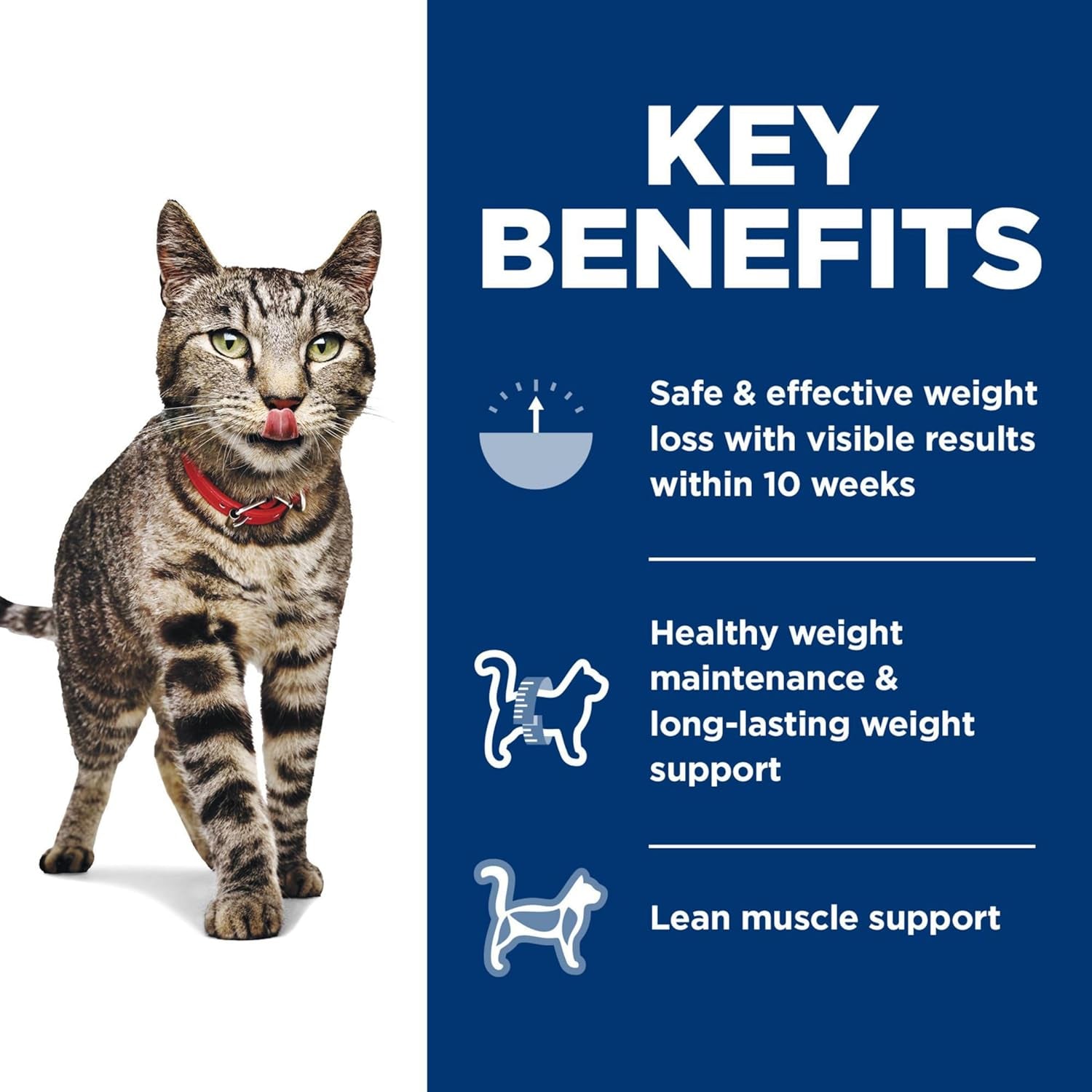 Perfect Weight, Adult 1-6, Weight Management Support, Dry Cat Food, Chicken Recipe, 15 Lb Bag