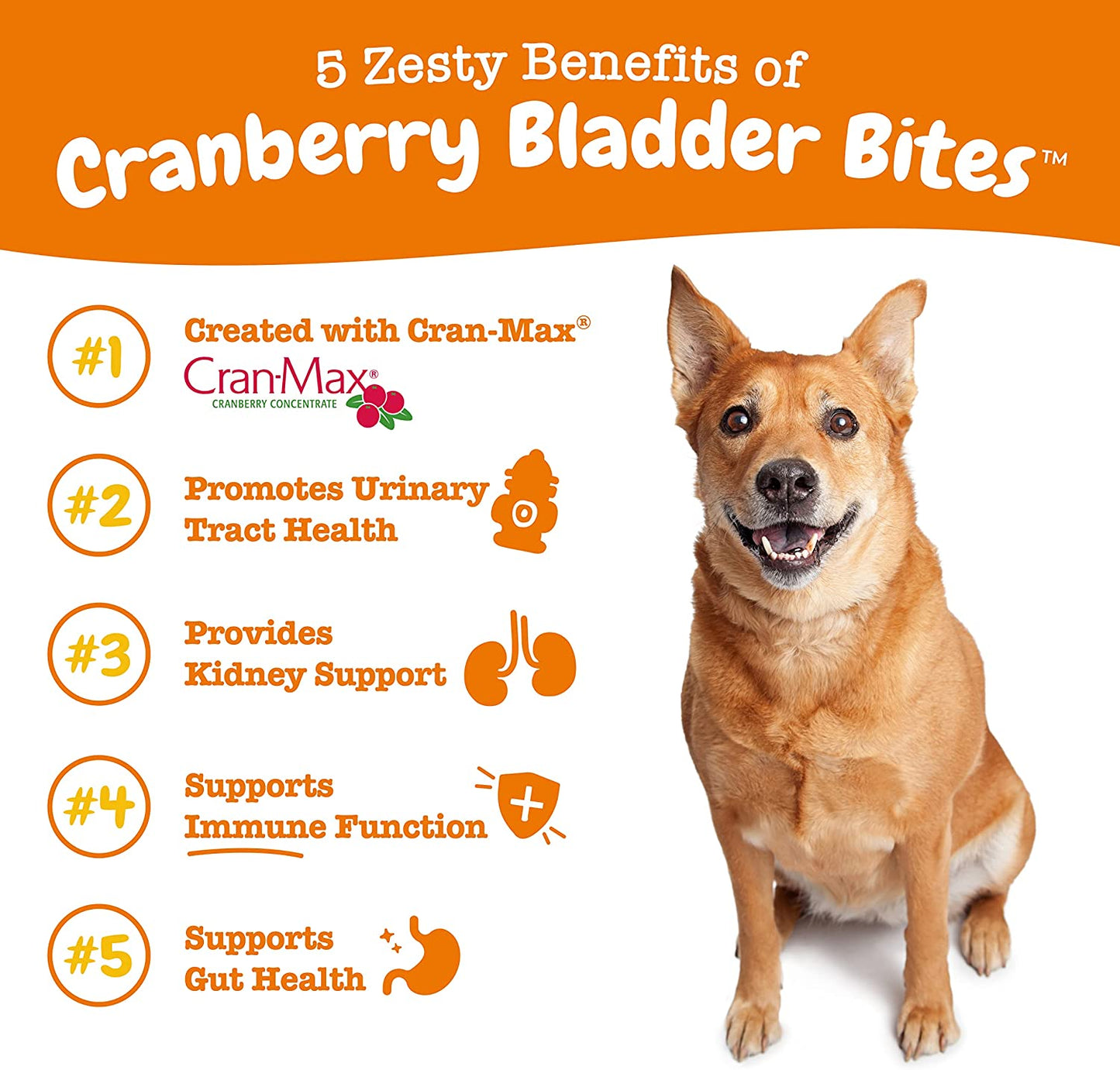 Cranberry Supplement for Dogs - Bladder Control for Dogs - Urinary Tract Support - Cranberry Chews with D-Mannose, Vitamin B6 & L-Arginine - Immune & Gut Support - Bacon - 90 Count