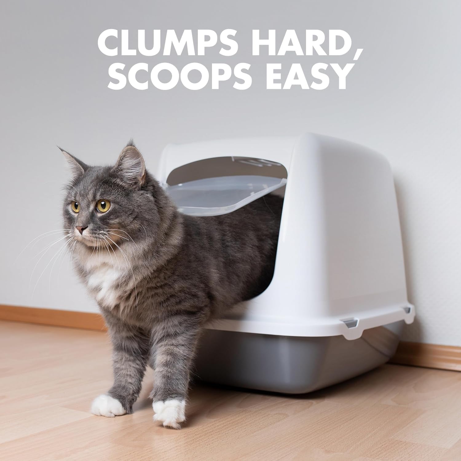 Naturals Clumping Cat , Litter Odor Control, Multi Cat Litter, 18 Lb. Bag