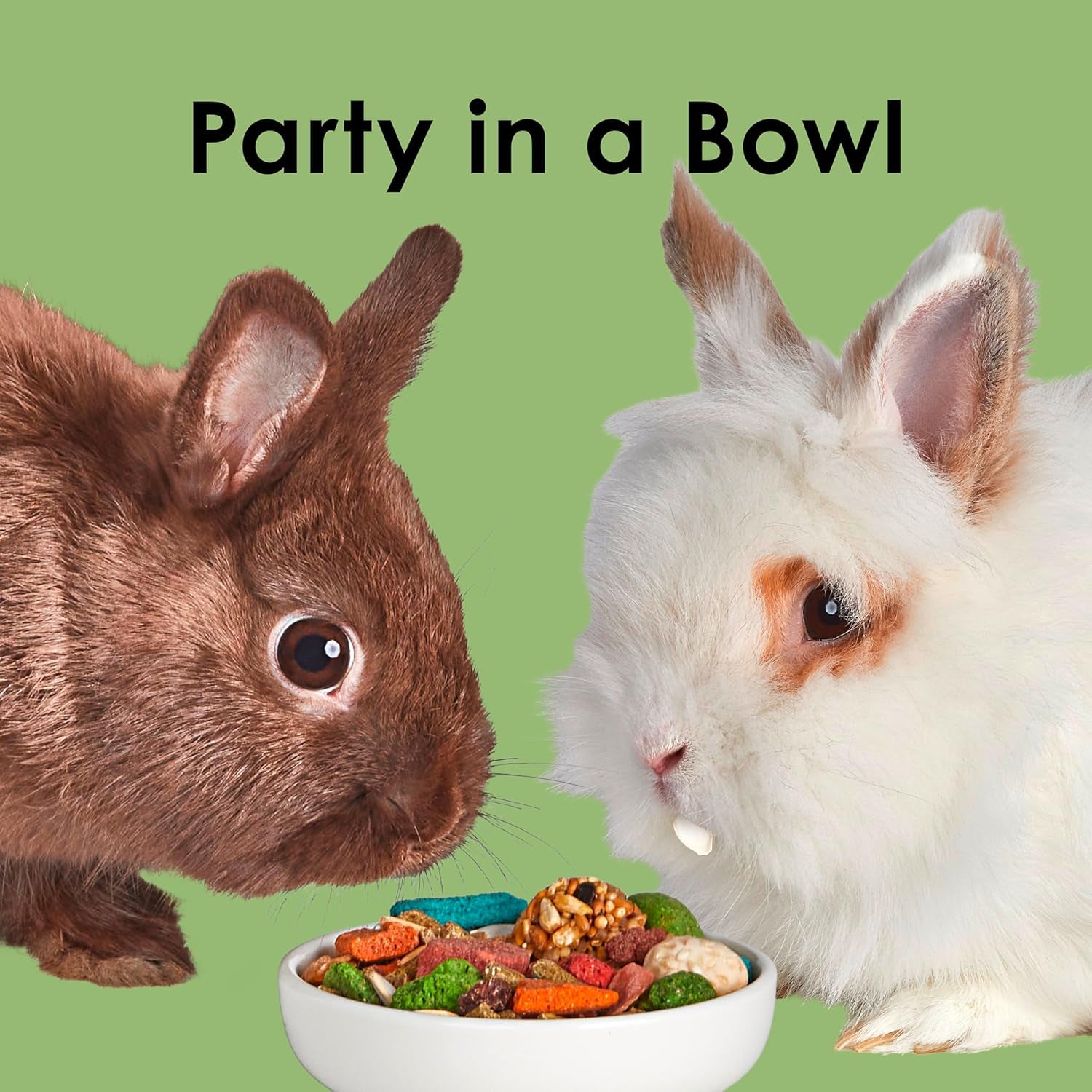 Fiesta Rabbit Food, Nutritious and Fun Blend, Supports Dental Health and Digestion, 20 Pounds