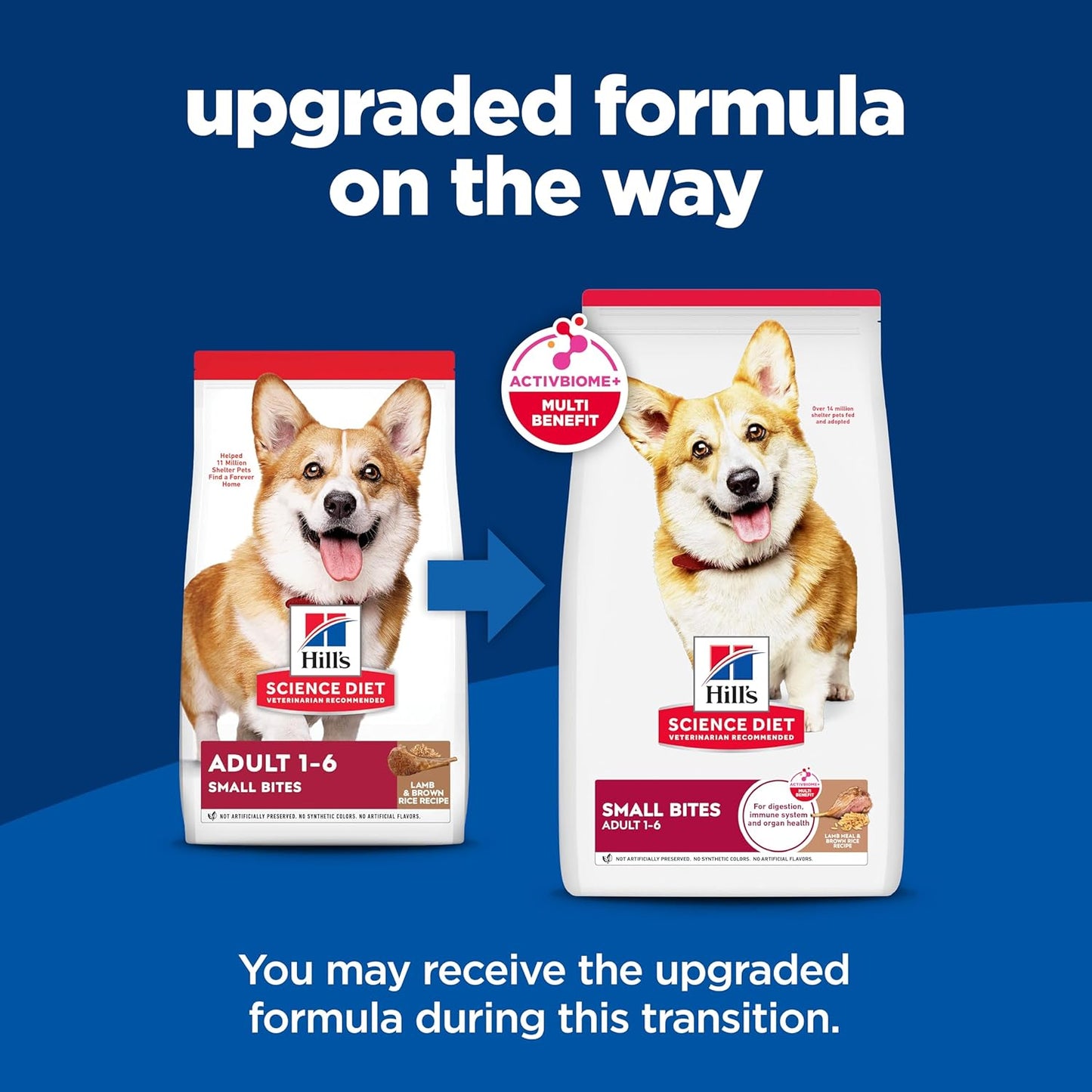 Adult 1-6, Adult 1-6 Premium Nutrition, Small Kibble, Dry Dog Food, Lamb & Brown Rice, 15.5 Lb Bag