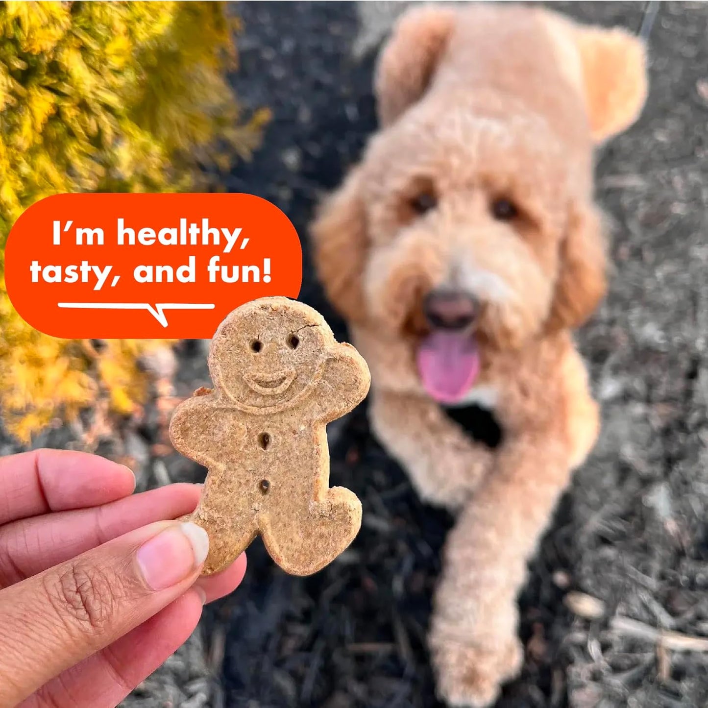 3.5 Lbs. Bag of Crunchy Dog Treats Made with Natural Peanut Butter