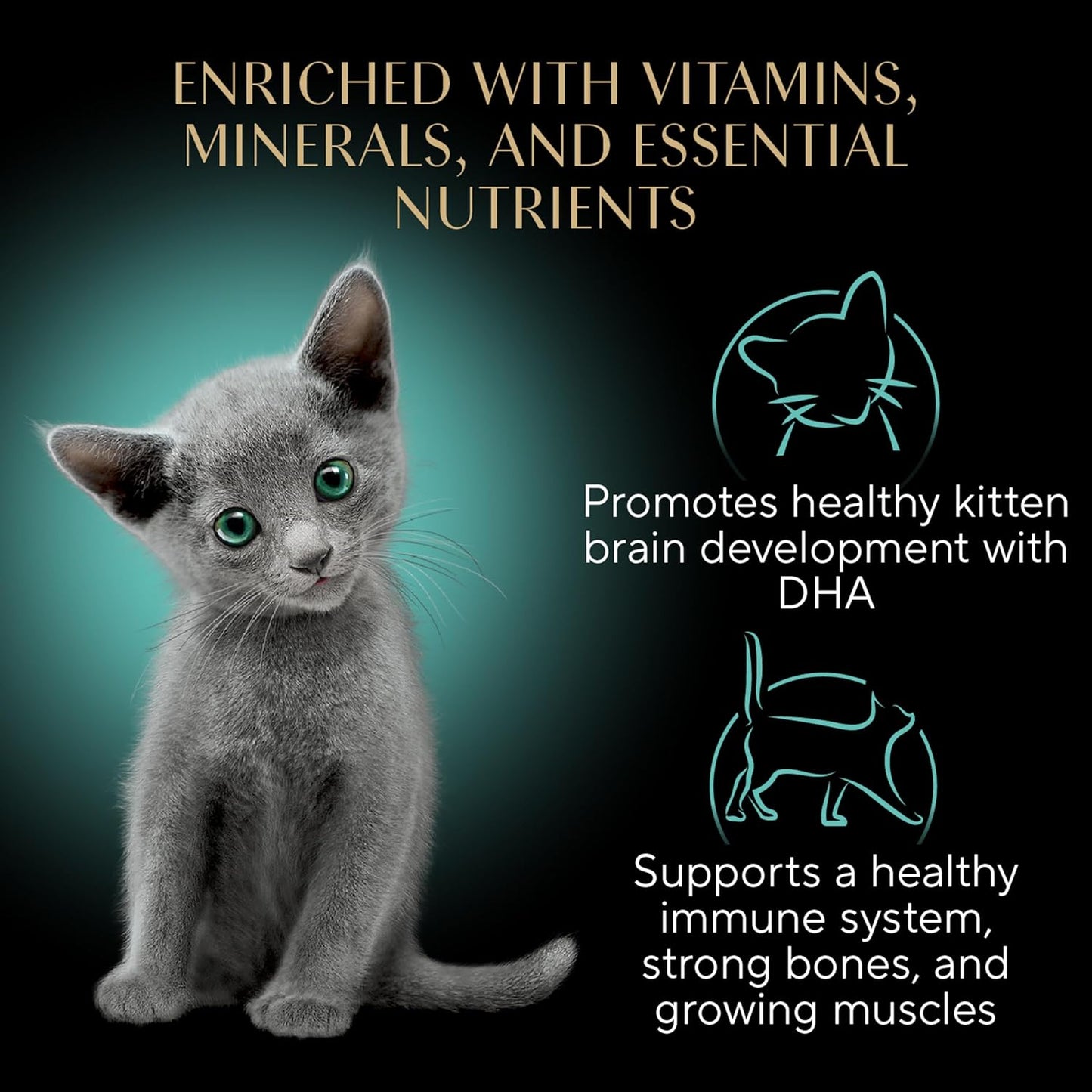 Perfect Portions Kitten Wet Cat Food Pate Chicken Entree and Salmon Entree, 2.6 Oz. Twin-Pack Trays (12 Count, 24 Servings) (Pack of 2)
