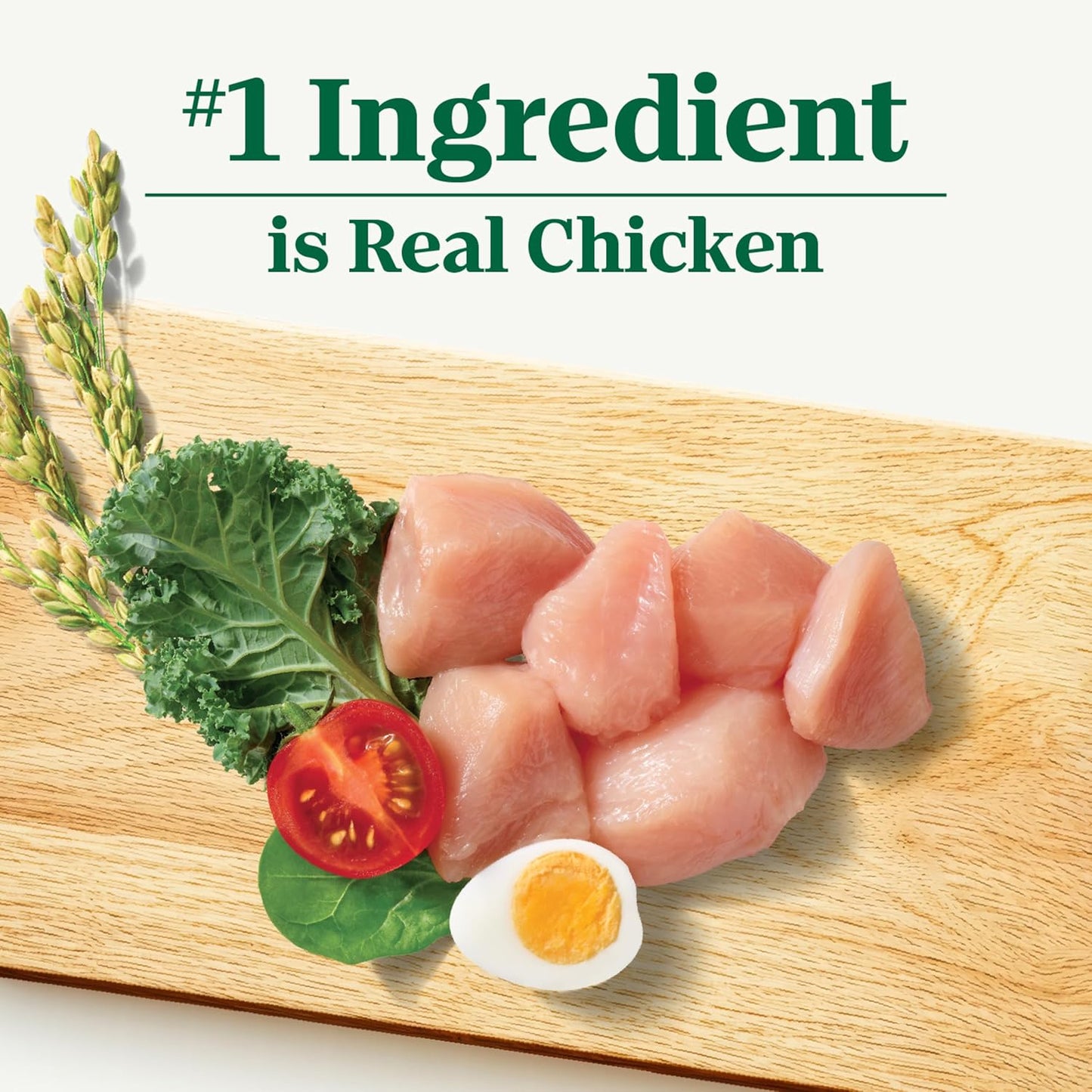 Natural Choice Chicken & Brown Rice Small Breed Dog Food Dry Recipe, 13 Lb. Bag