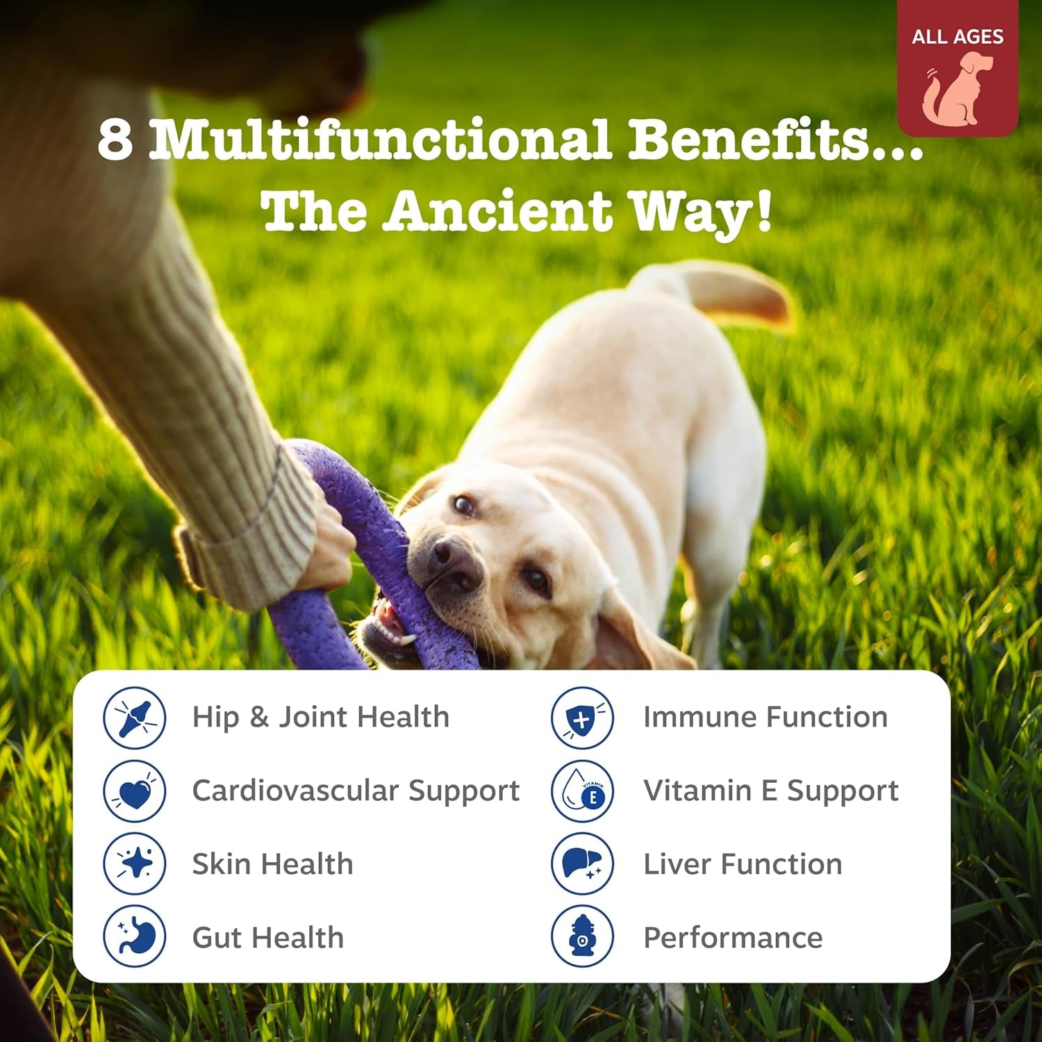 Dog Multivitamin, Chewable Dog Vitamins and Supplements for Hip & Joints, Skin & Coat, Omega 3 Fish Oil for Dogs- Senior & Puppy Multivitamin - Bison- 90Ct