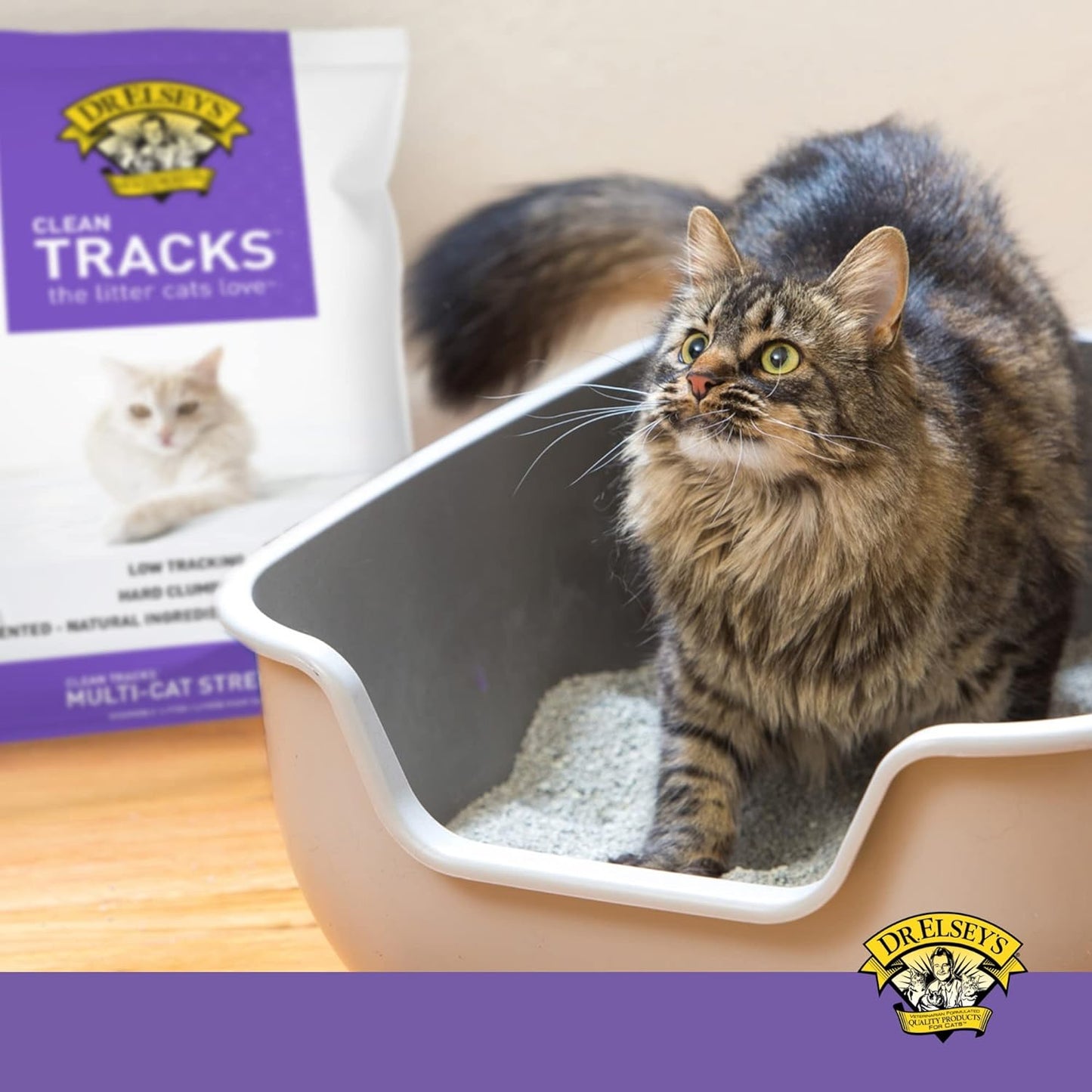 ® Clean Tracks Clumping Clay Cat Litter 40 Lb. Bag