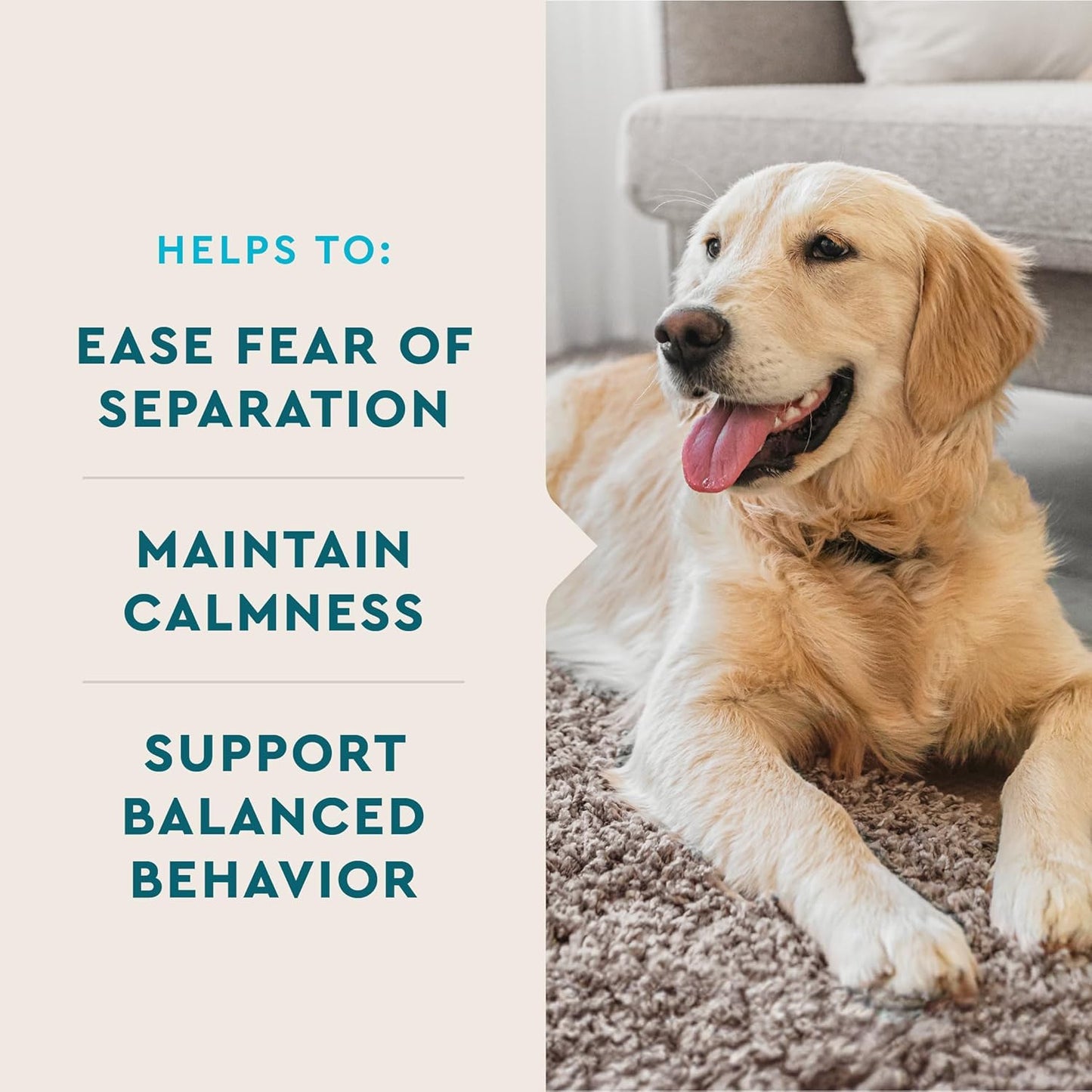 Calming Support Supplement for Dogs, Calming Chews Help Manage Stress and Promote Relaxation, Anxiety Relief for Dogs, Made in the USA, 60 Count