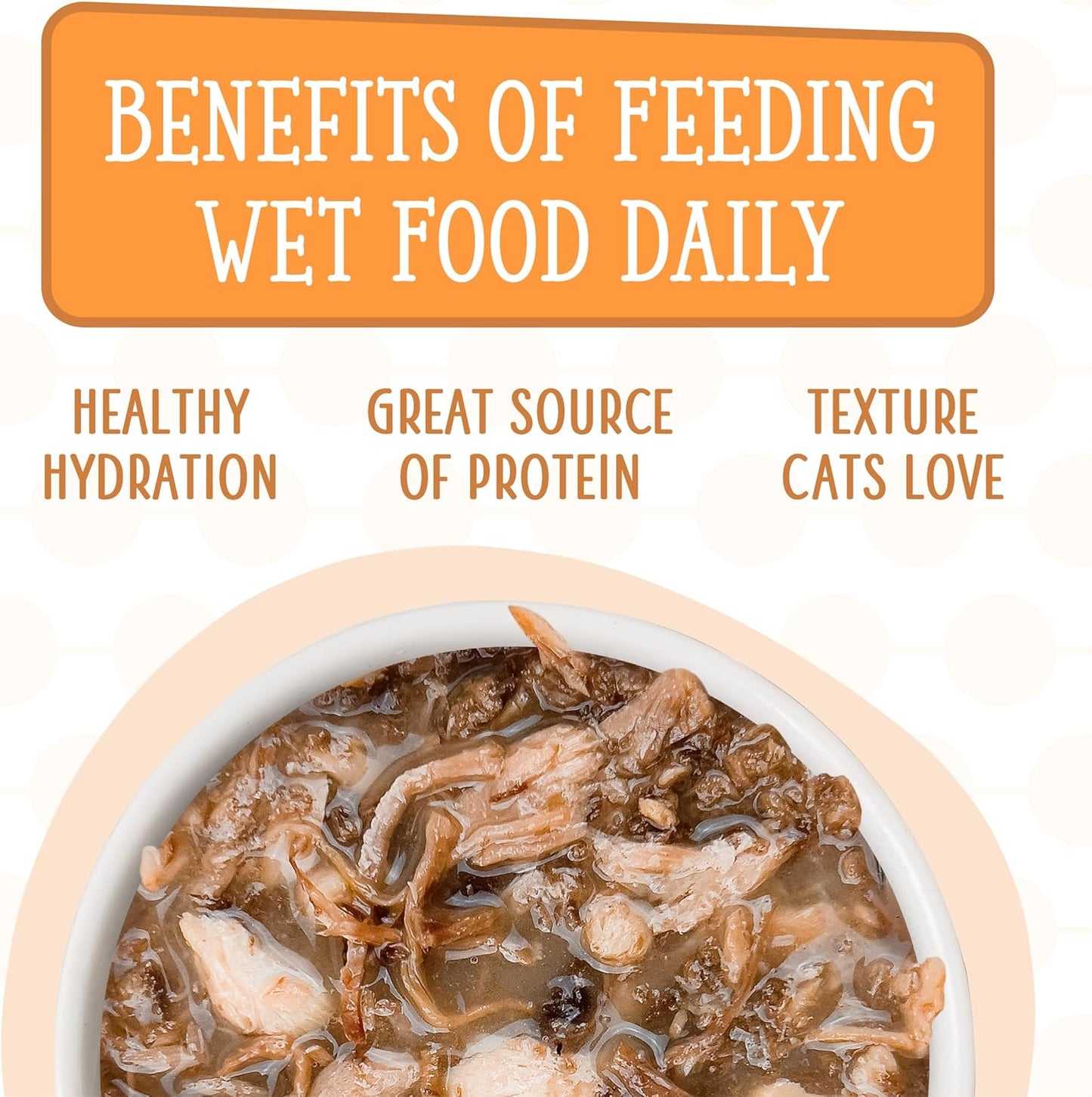 Cats in the Kitchen, Pantry Party Pouch Variety Pack in Gravy Cat Food, 3Oz Pouch (Pack of 12)