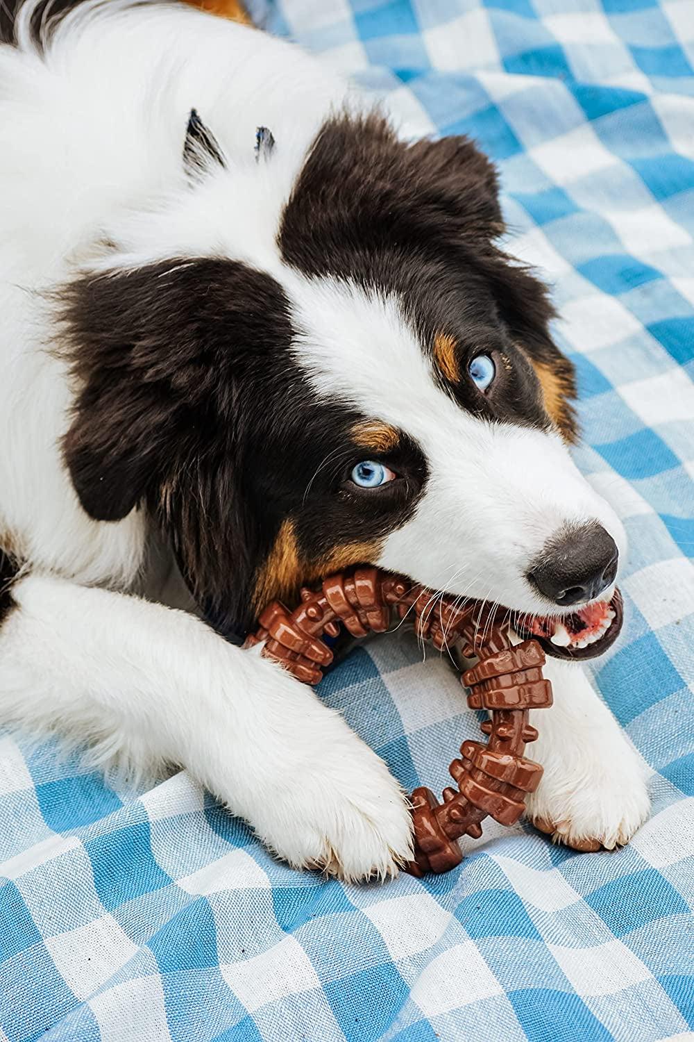 Textured Ring Power Chew Toy for Large Dogs, Durable Dog Toys for Aggressive Chewers, Strong Dog Chew Bones to Keep Them Busy, Flavor Medley, X-Large - 50+ Lbs, 1 Count