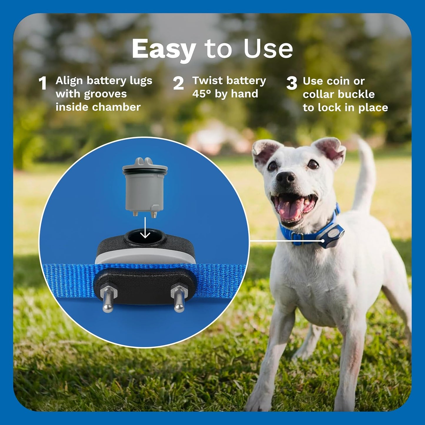 Power Cap Battery - Original IFB Electric Fence Battery Replacement for Dog Collars - Long-Lasting - 2 Pack