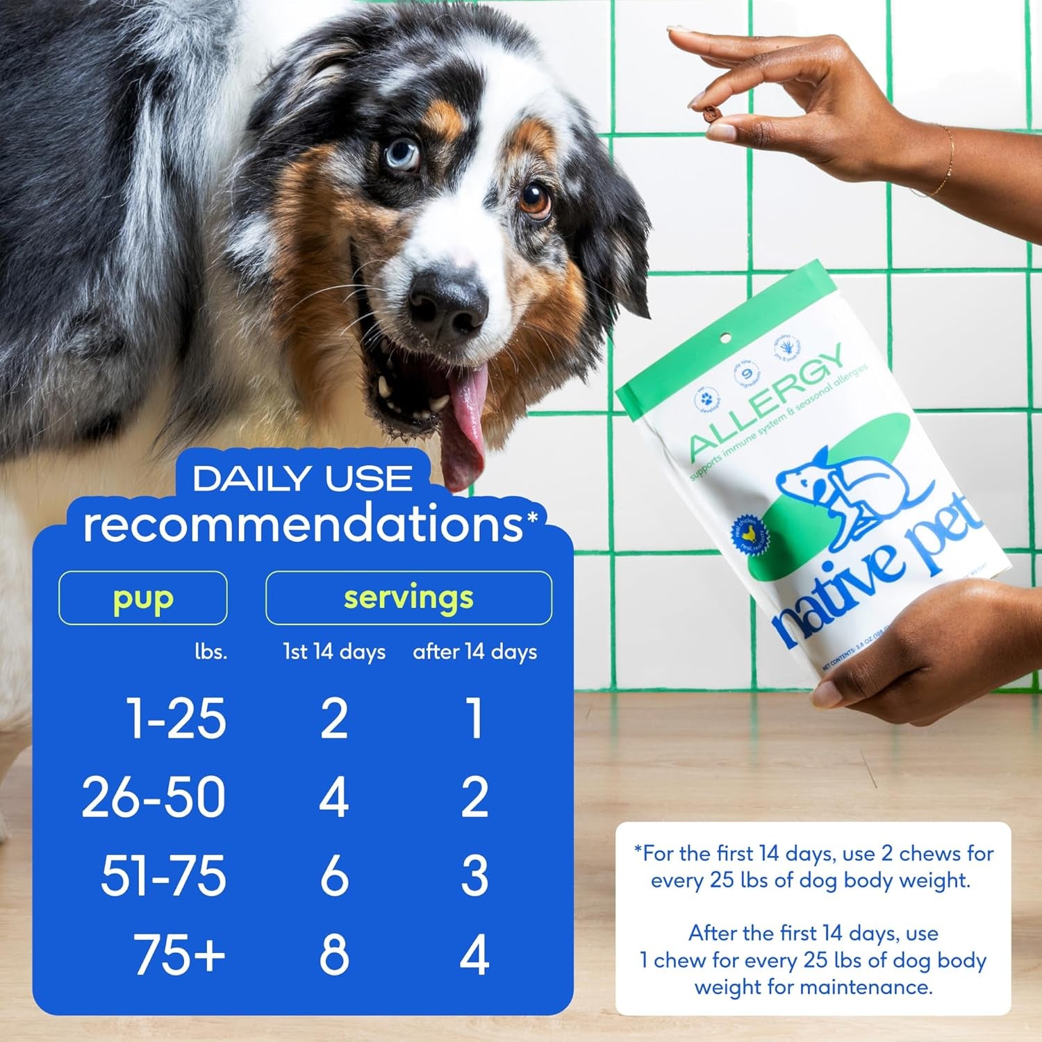 Dog Allergy Chews - Dog Allergy Relief with Probiotics and Colostrum for Itchy Skin Relief to Support Seasonal Allergy and Healthy Immune System - All Natural Anti-Histamine - 60 Chews