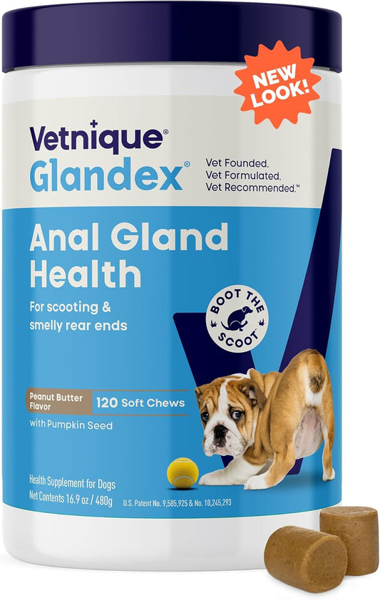 Glandex Anal Gland Soft Chew Treats with Pumpkin for Dogs Digestive Enzymes, Probiotics Fiber Supplement for Dogs Boot the Scoot (Peanut Butter Chews, 120 Count)