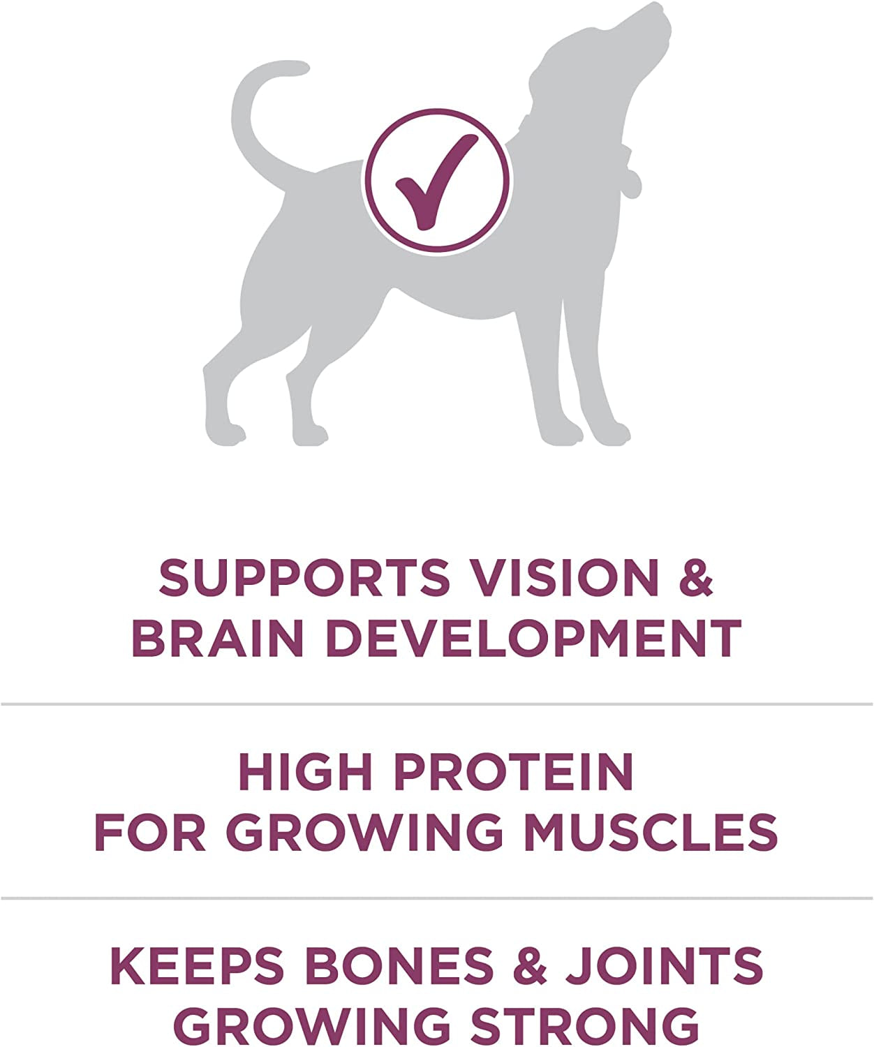 plus Healthy Puppy Formula High Protein Natural Dry Puppy Food with Added Vitamins, Minerals and Nutrients - 16.5 Lb. Bag