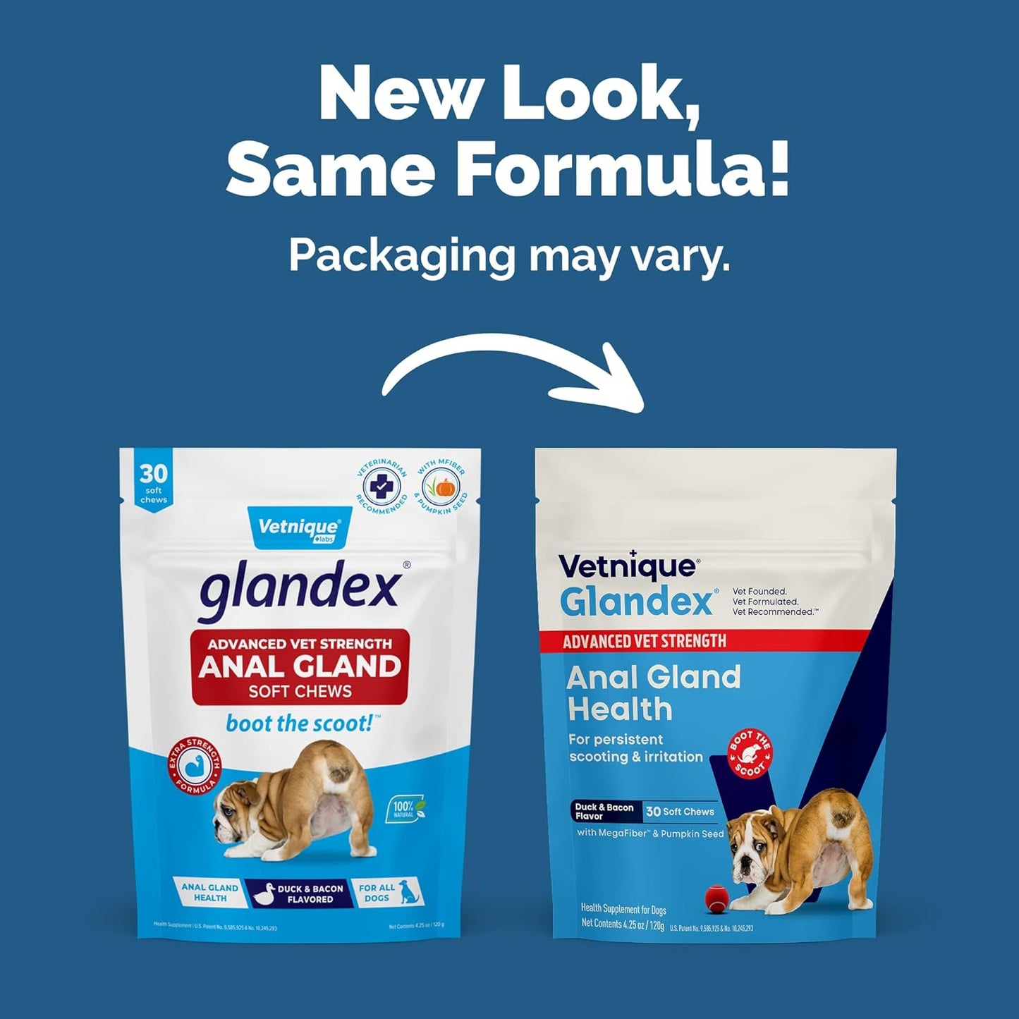 Glandex Anal Gland Soft Chew Treats with Pumpkin for Dogs Digestive Enzymes, Probiotics Fiber Supplement for Dogs Boot the Scoot (Advanced Strength Duck/Bacon Chews (Veg), 30 Count)