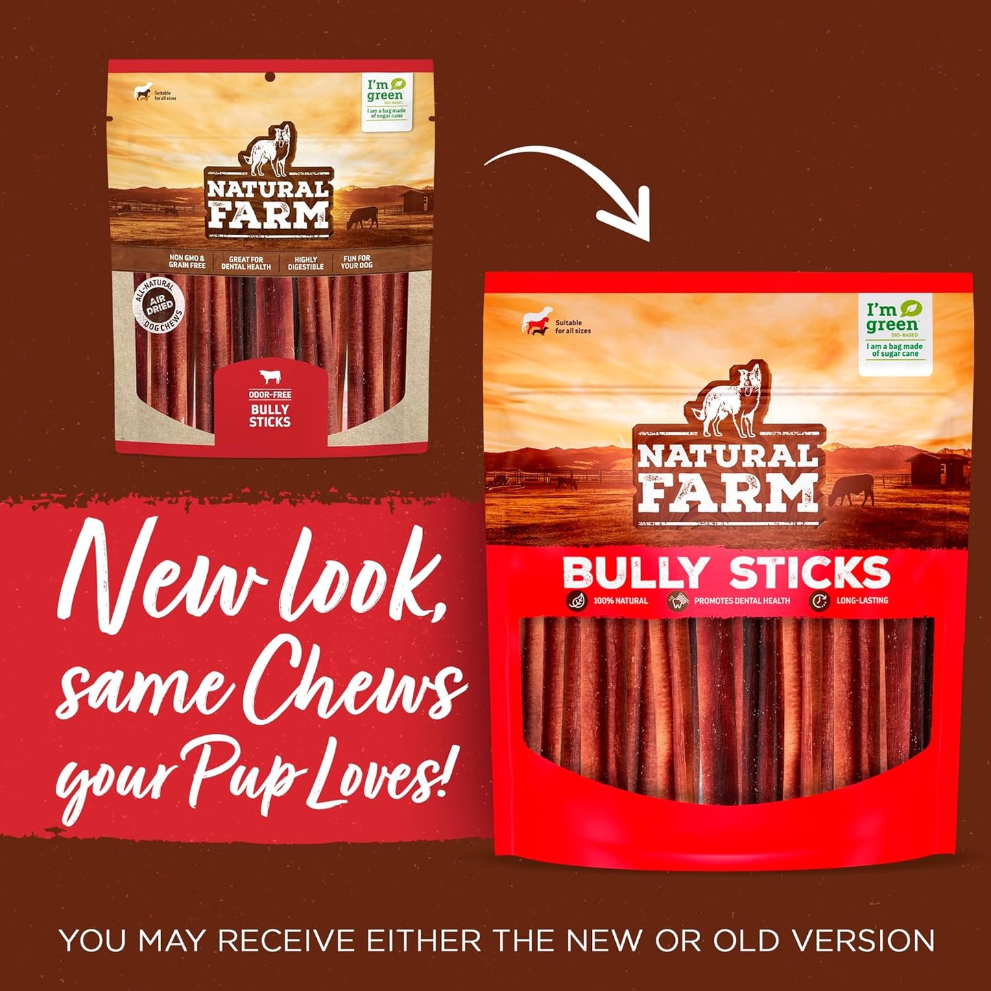 Odor-Free Bully Sticks (12 Inch, 12 Pack), 1.2 Lbs. per Bag, 100% Beef Pizzle Chews, Grass-Fed, Non-Gmo, Fully Digestible Long Lasting Best Dental Treats to Keep Your Dogs Busy