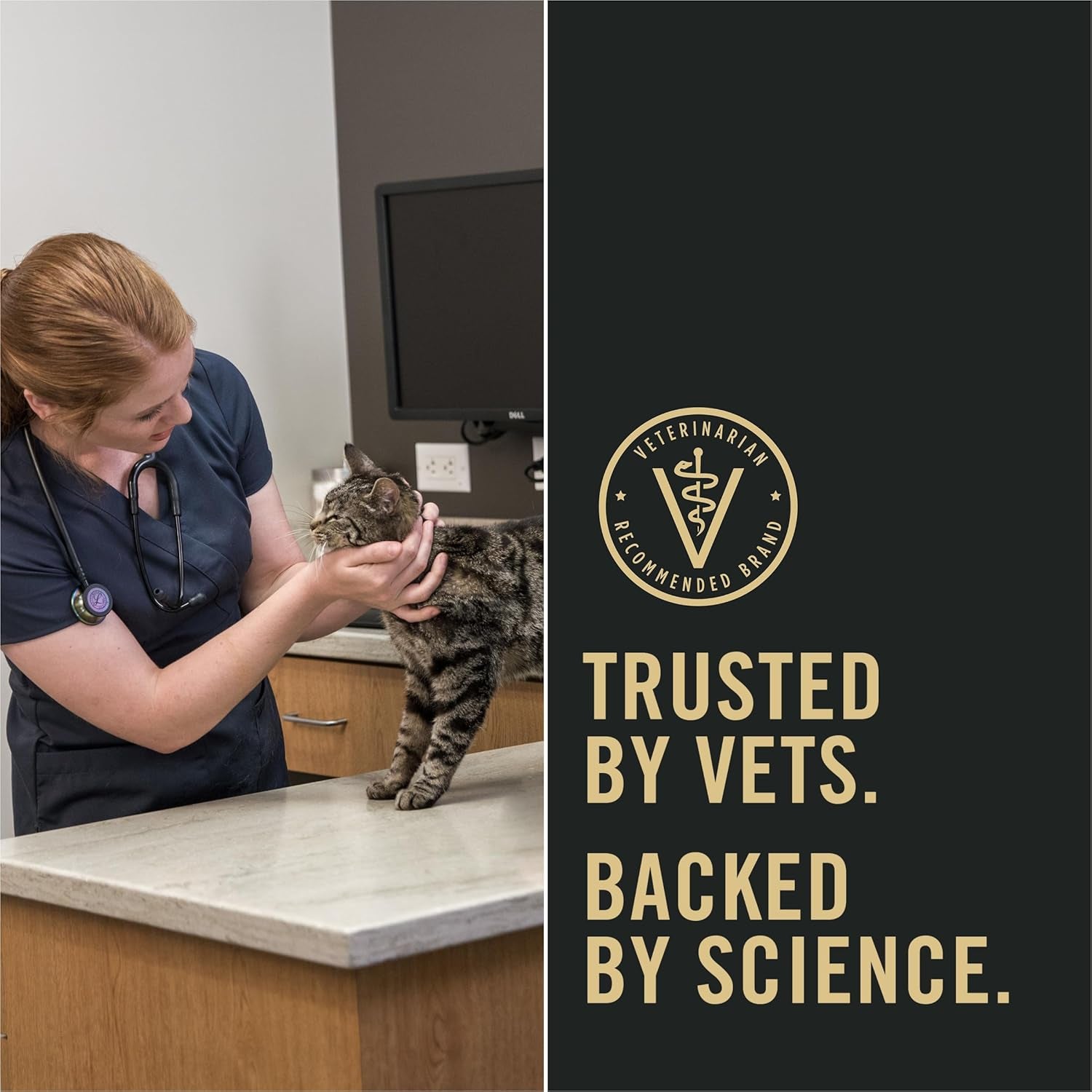 Indoor Cat Food Liveclear Cat Allergen Reducing Turkey and Rice Formula - 3.2 Lb.