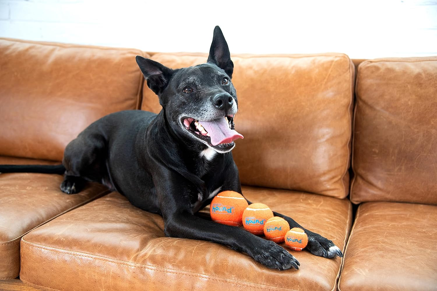 Squeaker Ballz, Interactive Dog Toy, Squeaky Tennis Ball, Durable Dog Toy for Fetch, Multi-Pack of 4, Medium