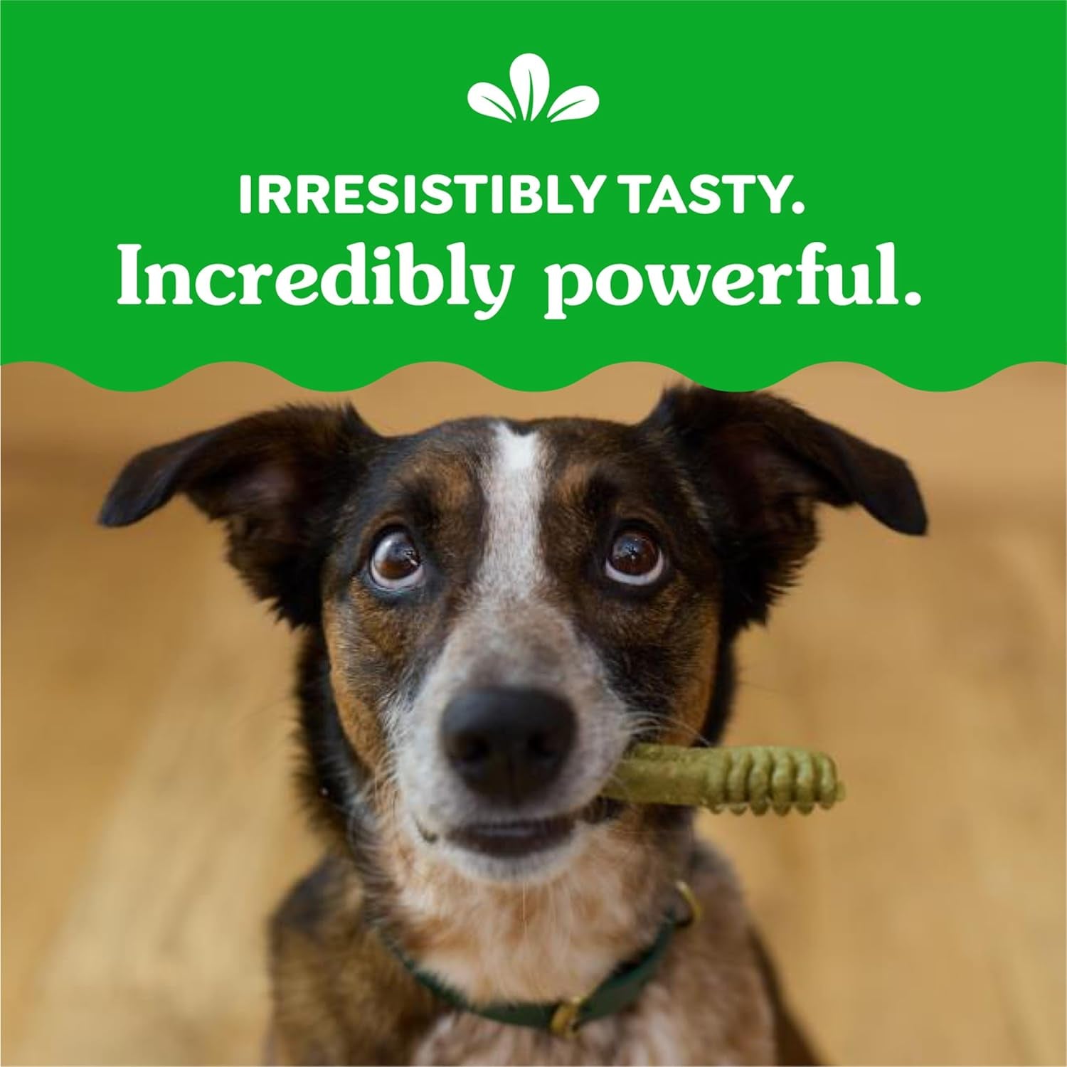 Original Regular Dental Dog Treats, 27 Oz. Pack (27 Treats)