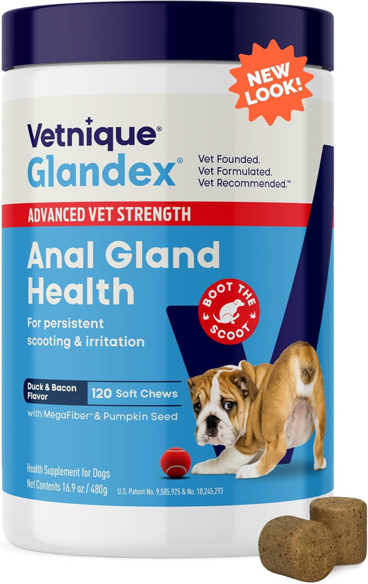 Glandex Anal Gland Soft Chew Treats with Pumpkin for Dogs Digestive Enzymes, Probiotics Fiber Supplement for Dogs Boot the Scoot (Advanced Strength Duck/Bacon Chews (Vegetarian), 120 Ct)