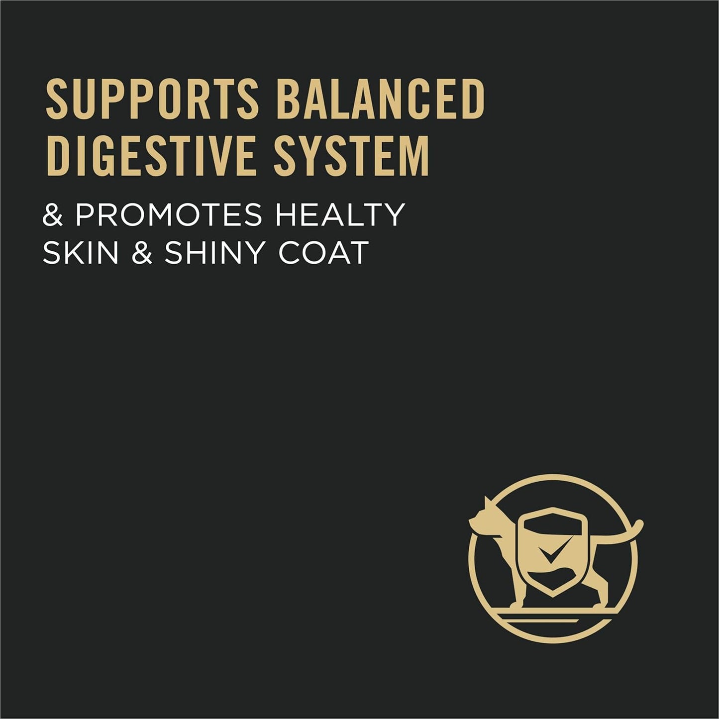 Sensitive Skin and Stomach Cat Food, Lamb and Rice Formula - 7 Lb. Bag