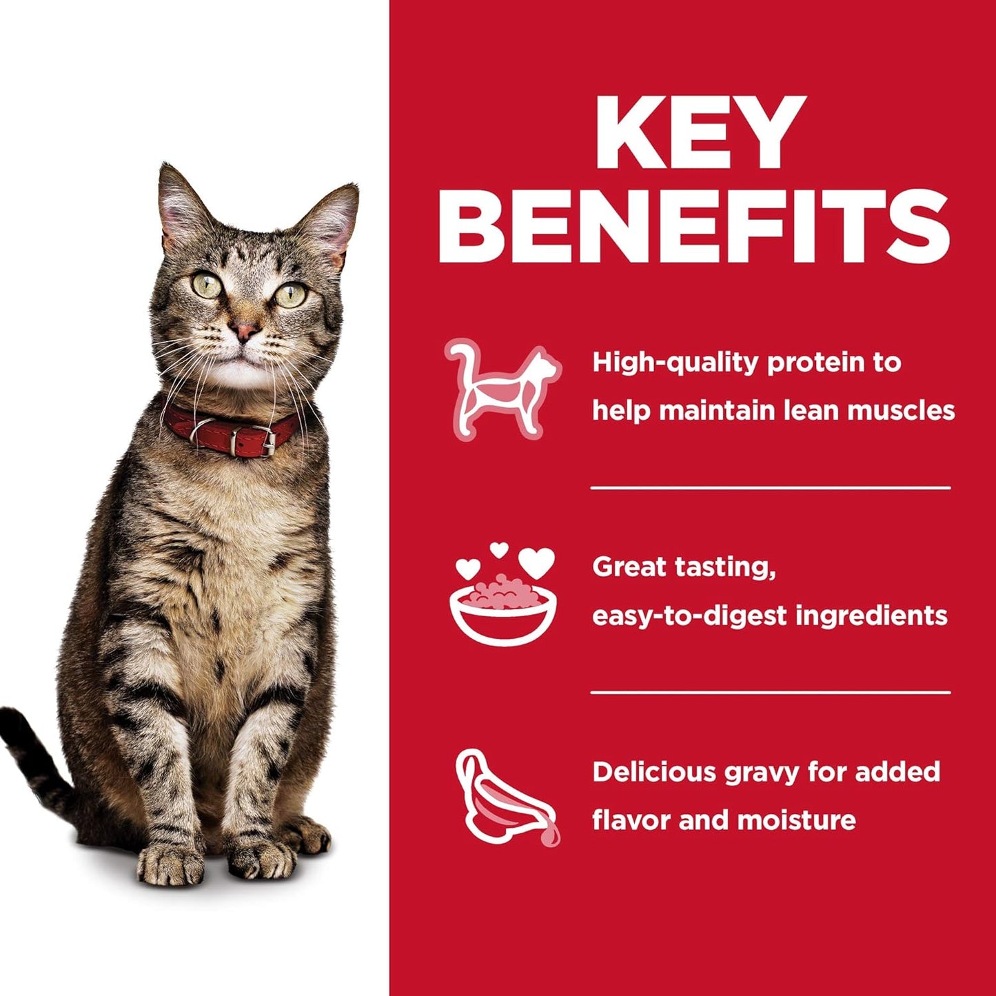 Adult 1-6, Adult 1-6 Premium Nutrition, Wet Cat Food, Variety Pack: Tuna, Chicken, Ocean Fish Stew, 2.8 Oz Pouch Variety Pack, Case of 12