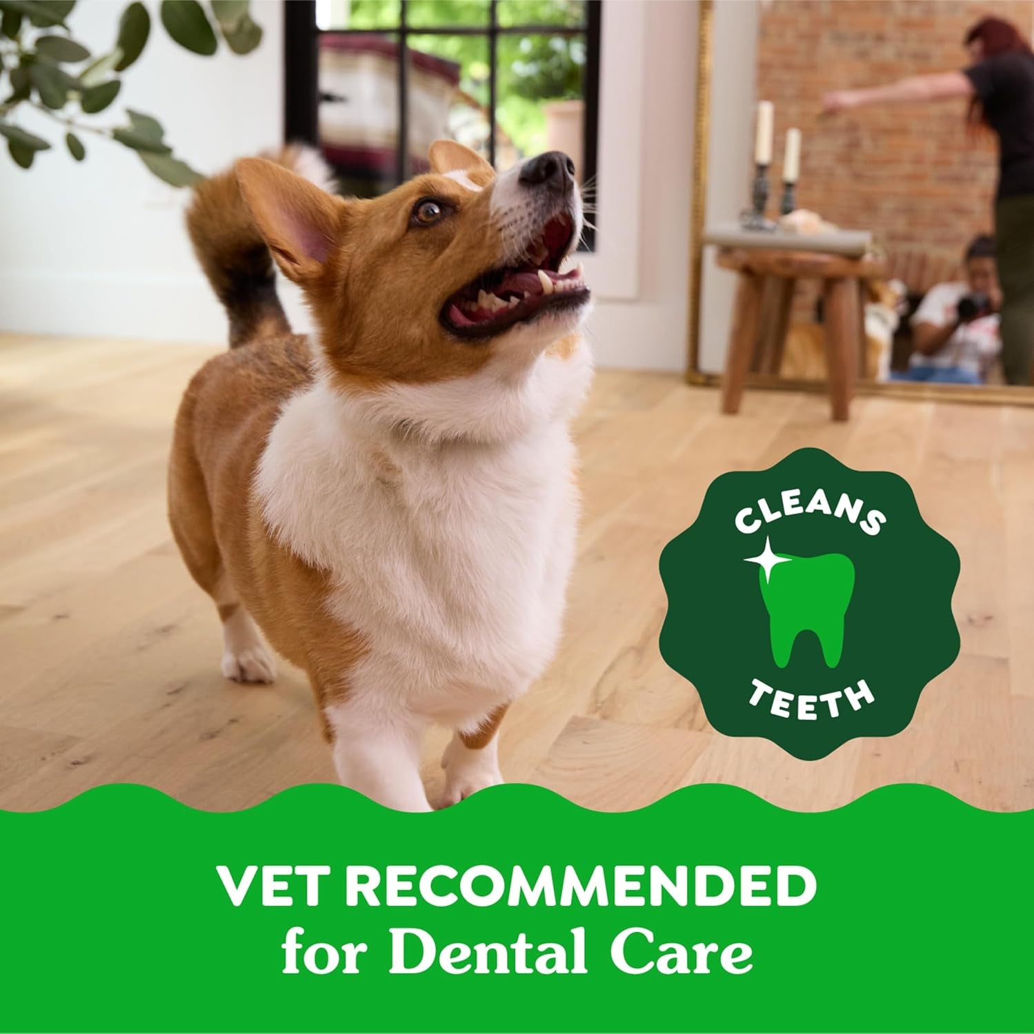 Petite Dental Dog Treats, 3-Flavor Variety Pack, (3) 12 Oz. Pouches, 60 Total Treats