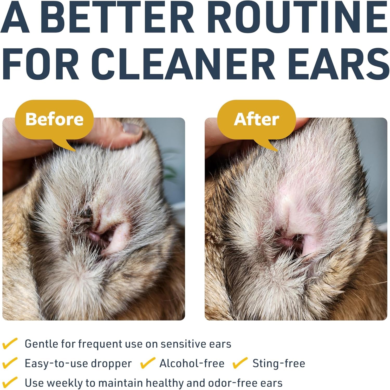 Clinical Care Ear Therapy, 8 Oz. – Cat and Dog Ear Cleaner – Helps Soothe Itchiness and Clean the Ear Canal of Debris and Buildup