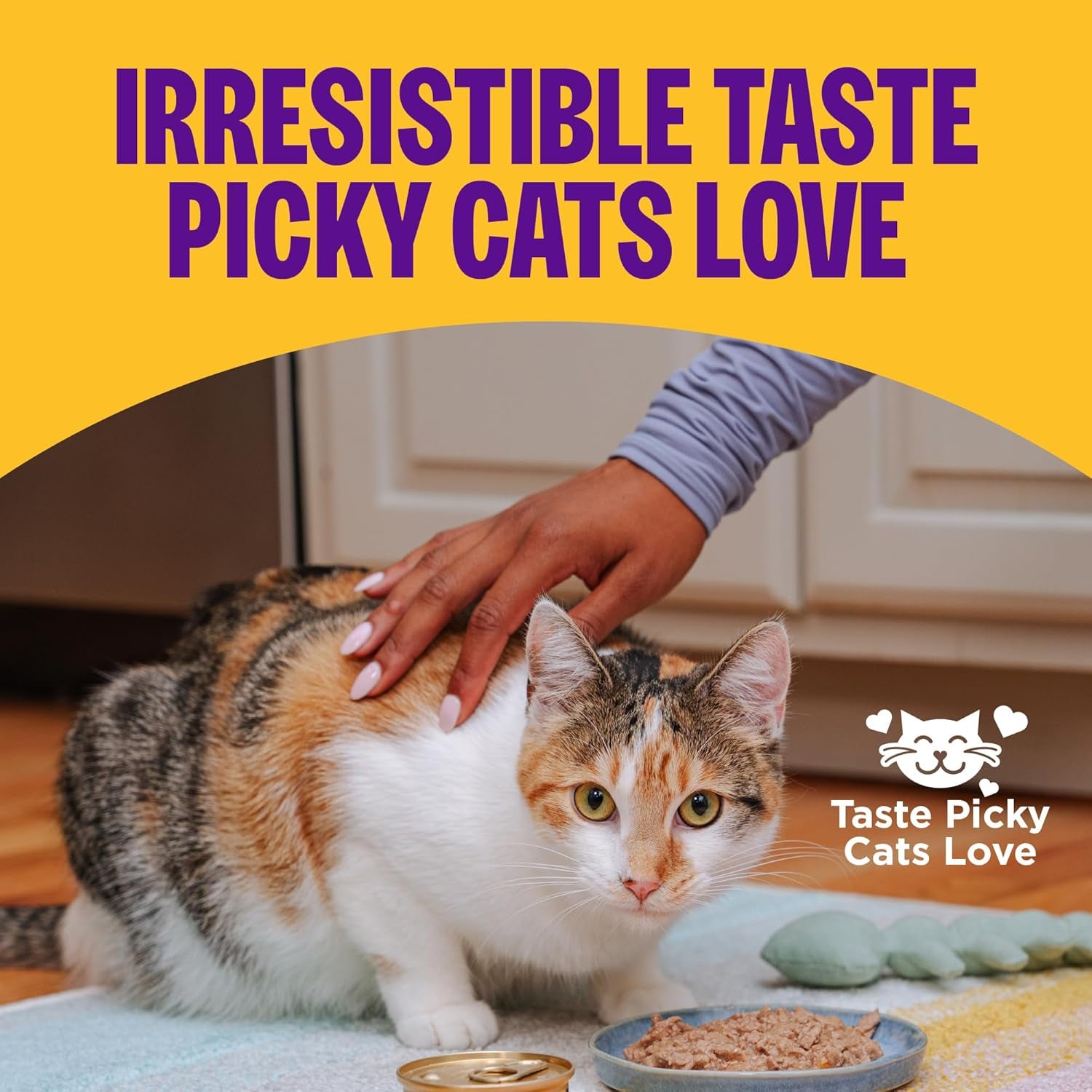 Complete Health Gravy & Minced Adult Wet Cat Food, Natural, Protein-Rich, Grain-Free, 3 Ounce, 24 Pack, (Chicken & Turkey Lovers Variety Pack)