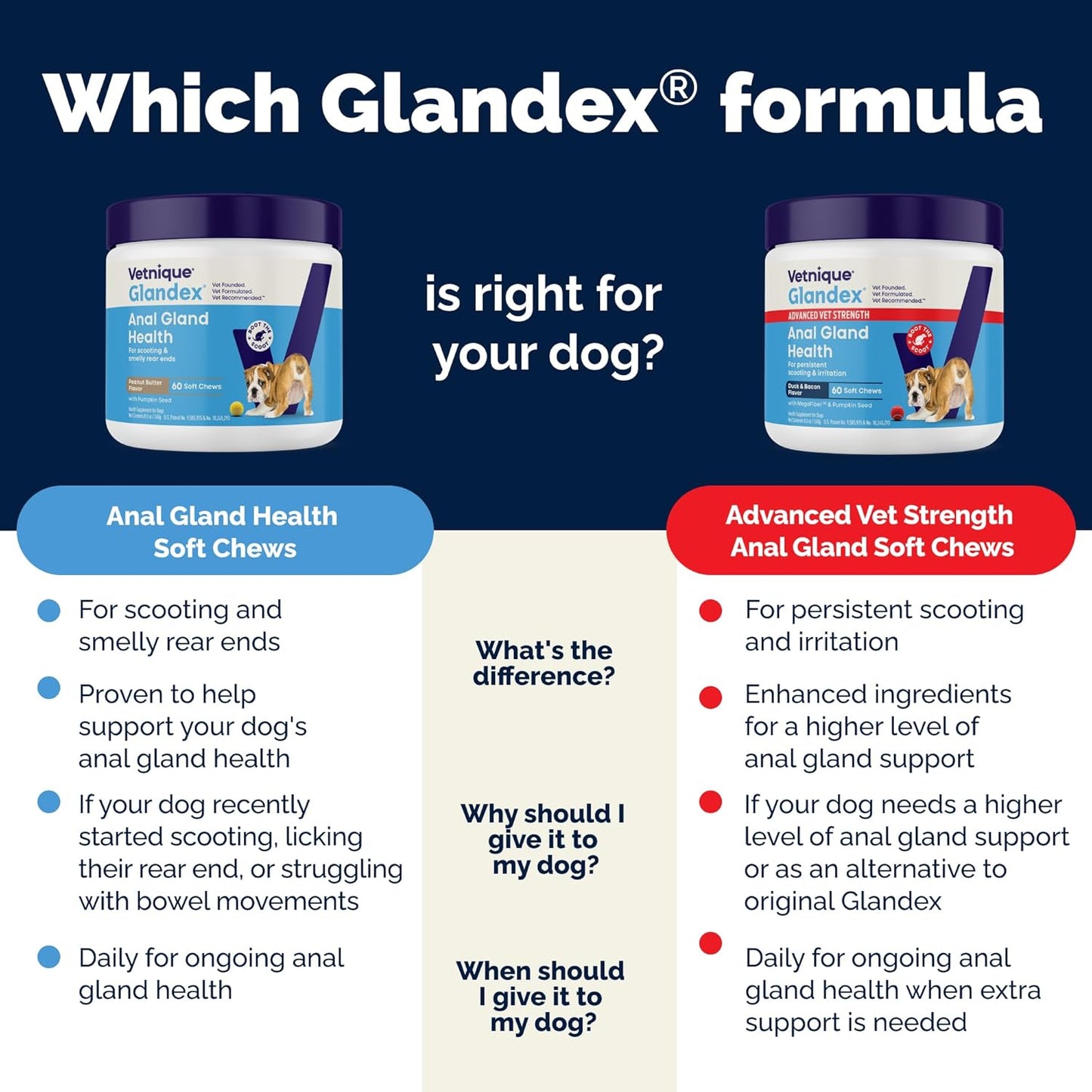 Glandex Anal Gland Soft Chew Treats with Pumpkin for Dogs Digestive Enzymes, Probiotics Fiber Supplement for Dogs Boot the Scoot (Advanced Strength Duck/Bacon Chews (Vegetarian), 120 Ct)