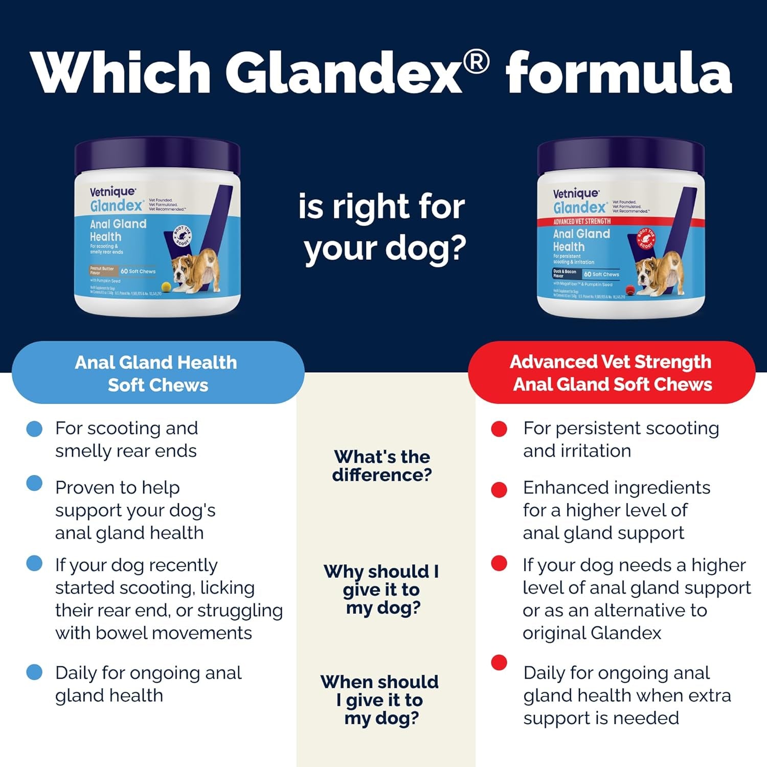Glandex Anal Gland Soft Chew Treats with Pumpkin for Dogs Digestive Enzymes, Probiotics Fiber Supplement for Dogs Boot the Scoot (Advanced Strength Duck/Bacon Chews (Vegetarian), 120 Ct)