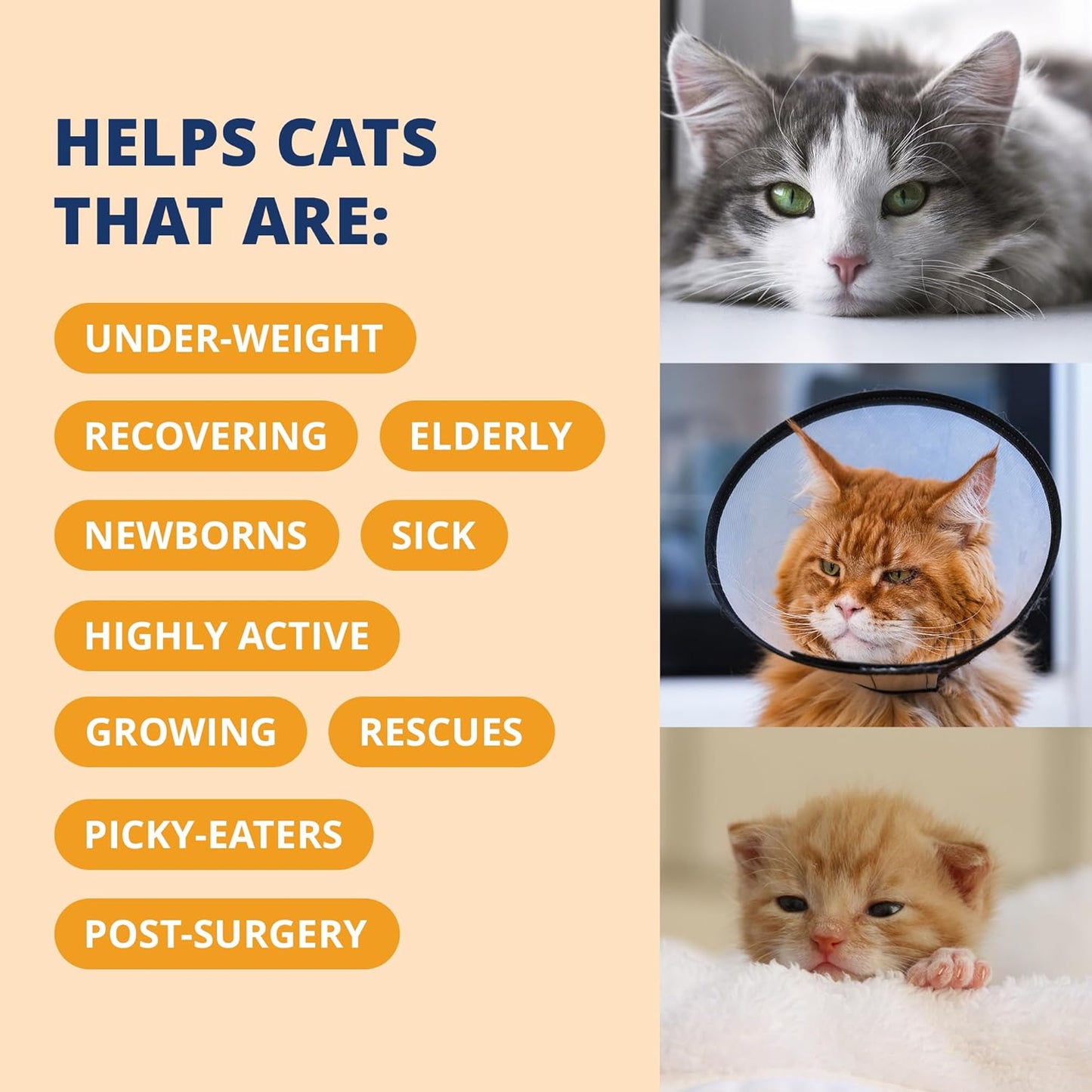 Pet Electrolytes Ready Cal plus Gel for Cats | Vet-Formulated High-Calorie Supplement for Cats & Kittens | Promotes Weight Gain & Boosts Energy for Sick Felines | 3.5 Oz Tube Pack