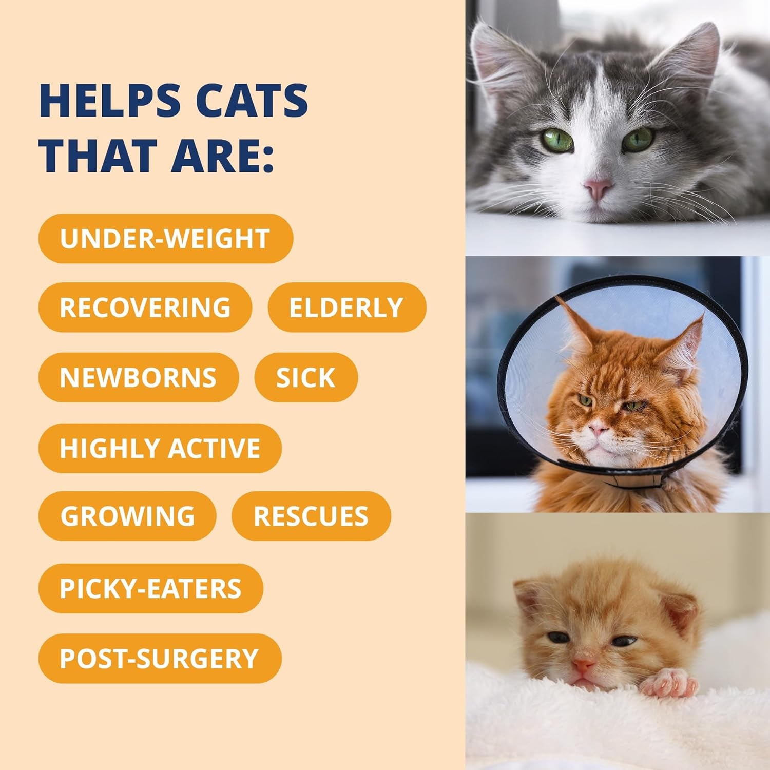 Pet Electrolytes Ready Cal plus Gel for Cats | Vet-Formulated High-Calorie Supplement for Cats & Kittens | Promotes Weight Gain & Boosts Energy for Sick Felines | 3.5 Oz Tube Pack