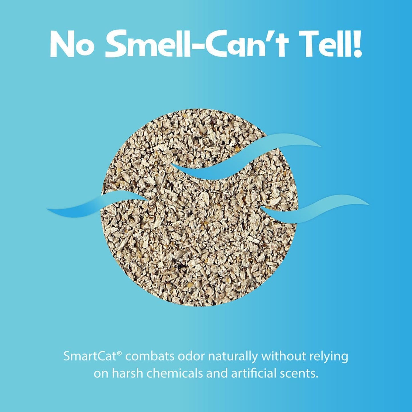 All Natural Clumping Cat Litter, 10 Pound (160Oz 1 Pack) - Alternative to Clay and Pellet Litter - Chemical and 99% Dust Free - Unscented and Lightweight