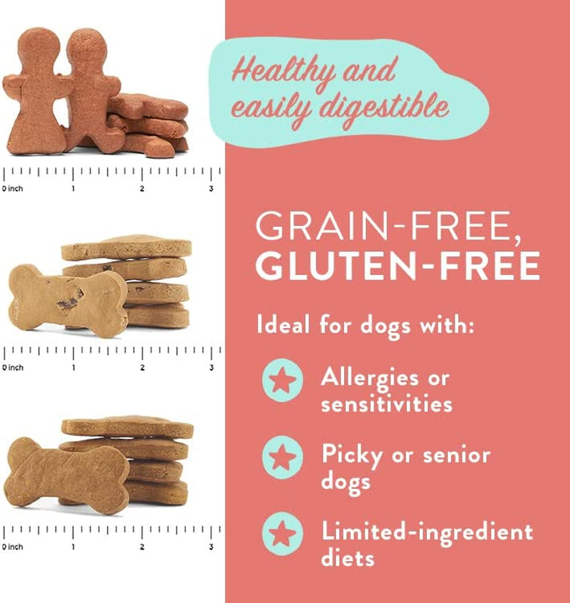 Pumpkin Healthy Dog Treats - Multipack, Grain-Free, Human-Grade, All Natural Dog Training Treats & Biscuits Made in the USA - 3-Pack (5 Oz)