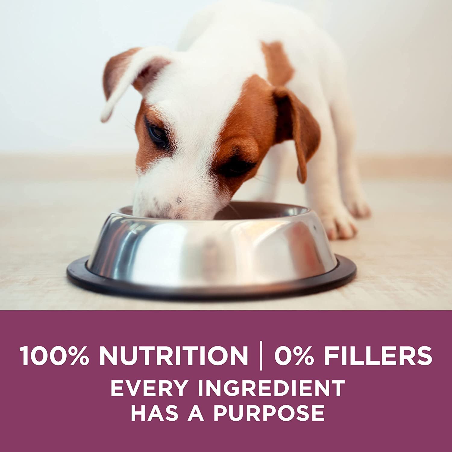 plus Healthy Puppy Formula High Protein Natural Dry Puppy Food with Added Vitamins, Minerals and Nutrients - 16.5 Lb. Bag