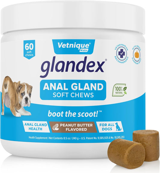 Glandex Anal Gland Soft Chew Treats with Pumpkin for Dogs Digestive Enzymes, Probiotics Fiber Supplement for Dogs Boot the Scoot (Peanut Butter Chews, 60 Count)