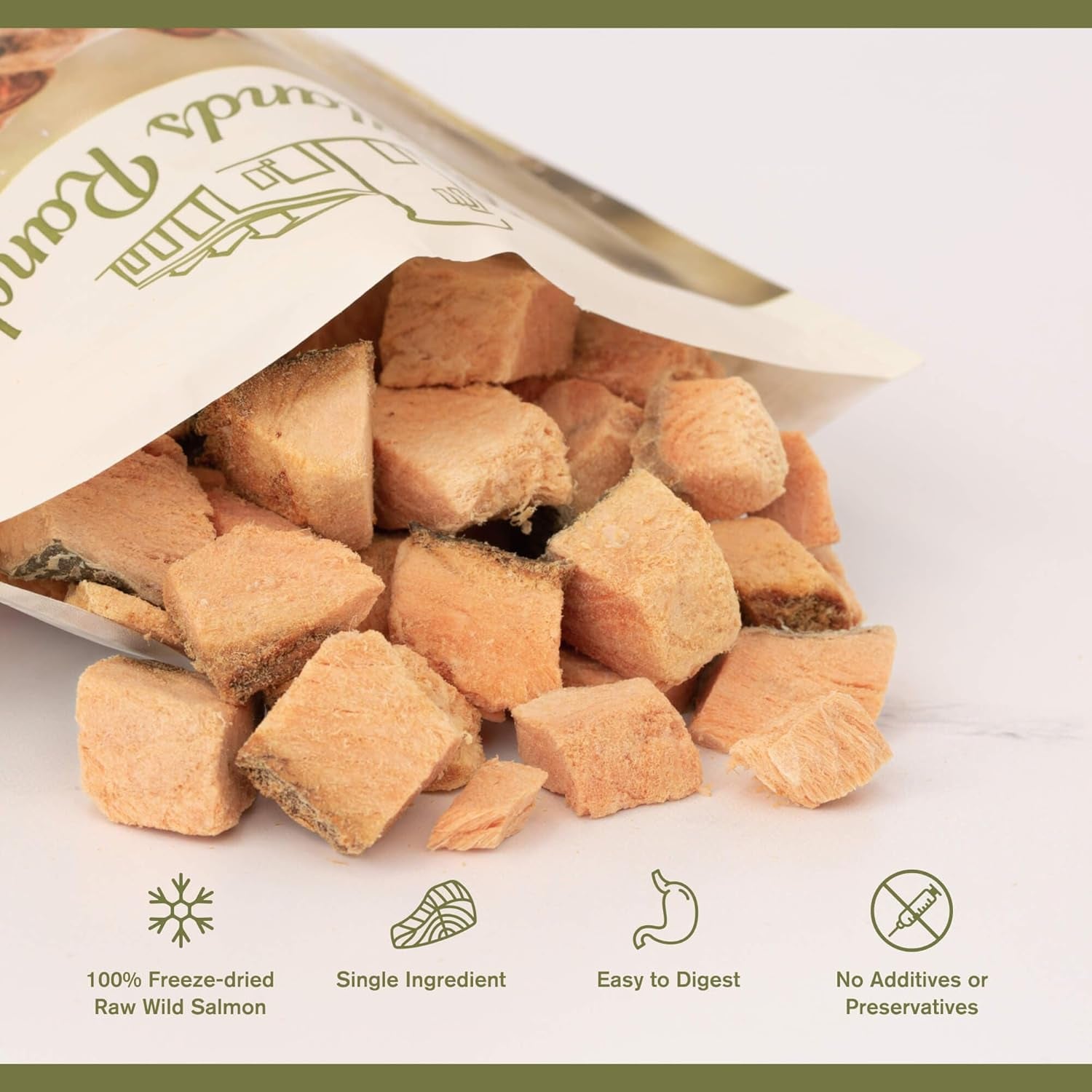 - Superfood Bite, Freeze-Dried Raw Dog Treats - Protein Rich, Train & Reward, Traceable Single Ingredient by Katherine Heigl (Wild Salmon)