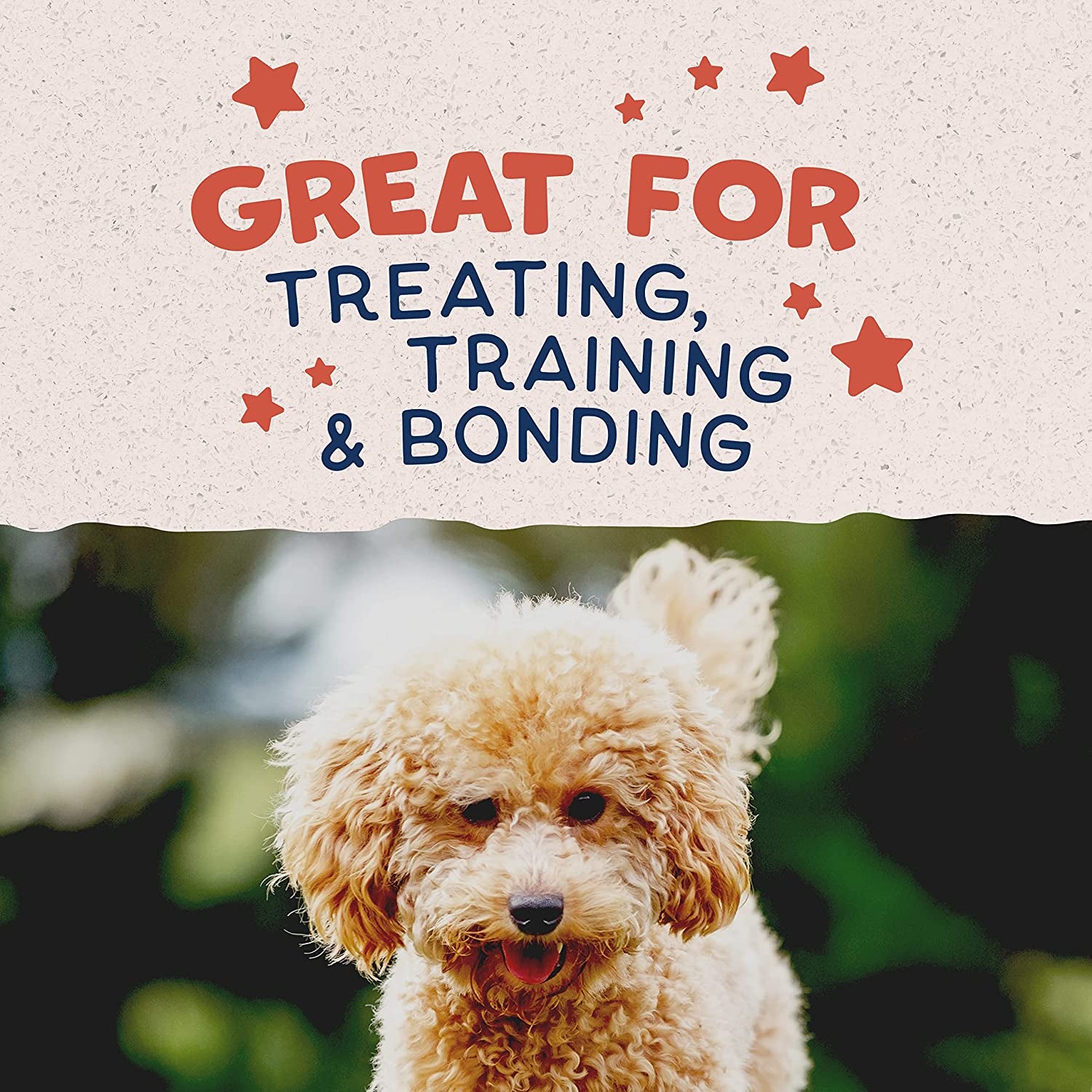 Limited Ingredient Mini-Rewards Salmon Grain-Free Dog Training Treats for Dogs | 5.3 Ounce Canister