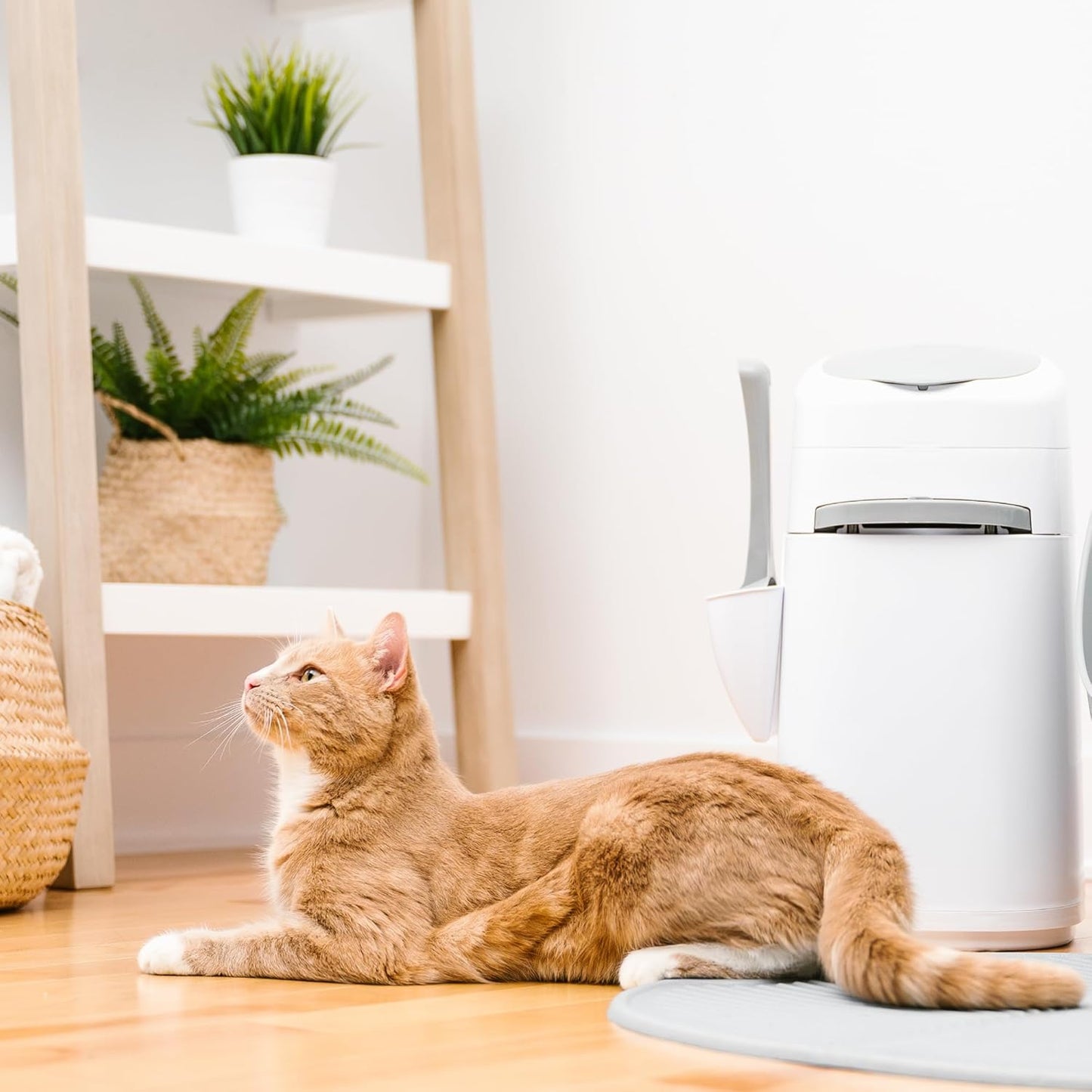 Style Pail |Cat Litter Waste Disposal System for Odor Control | Includes 1 Square Refill Bag